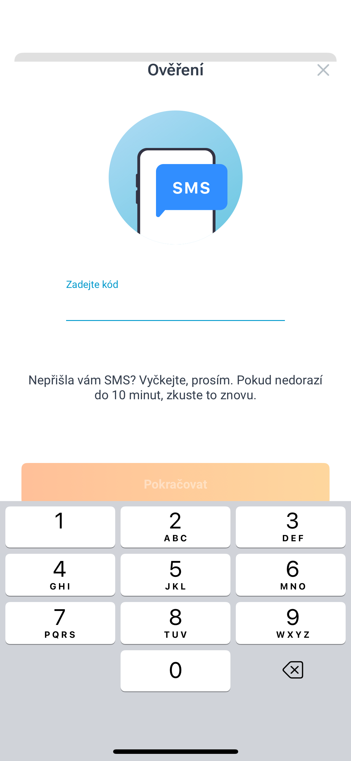 sms verification code entry