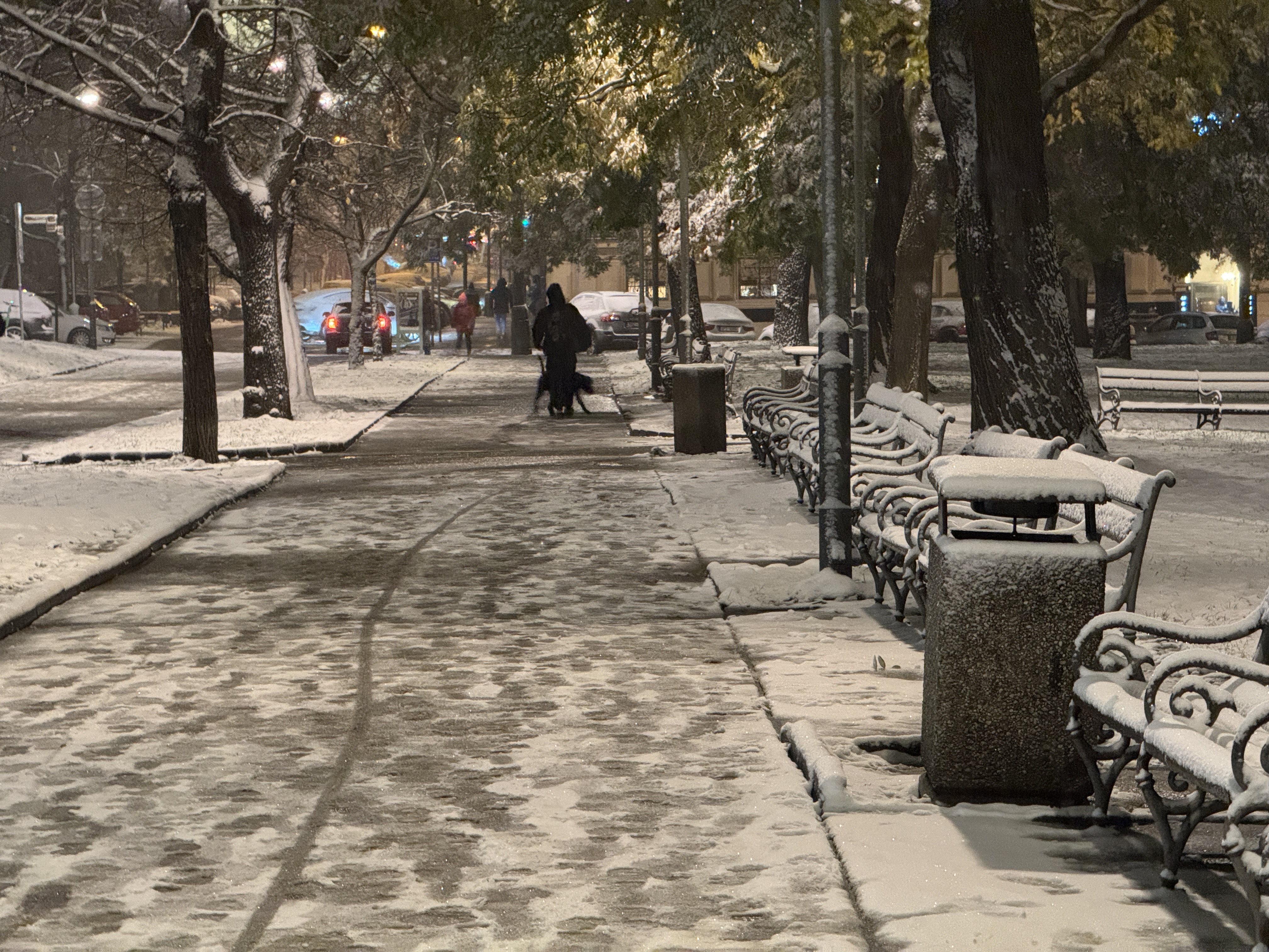 snowy park path night