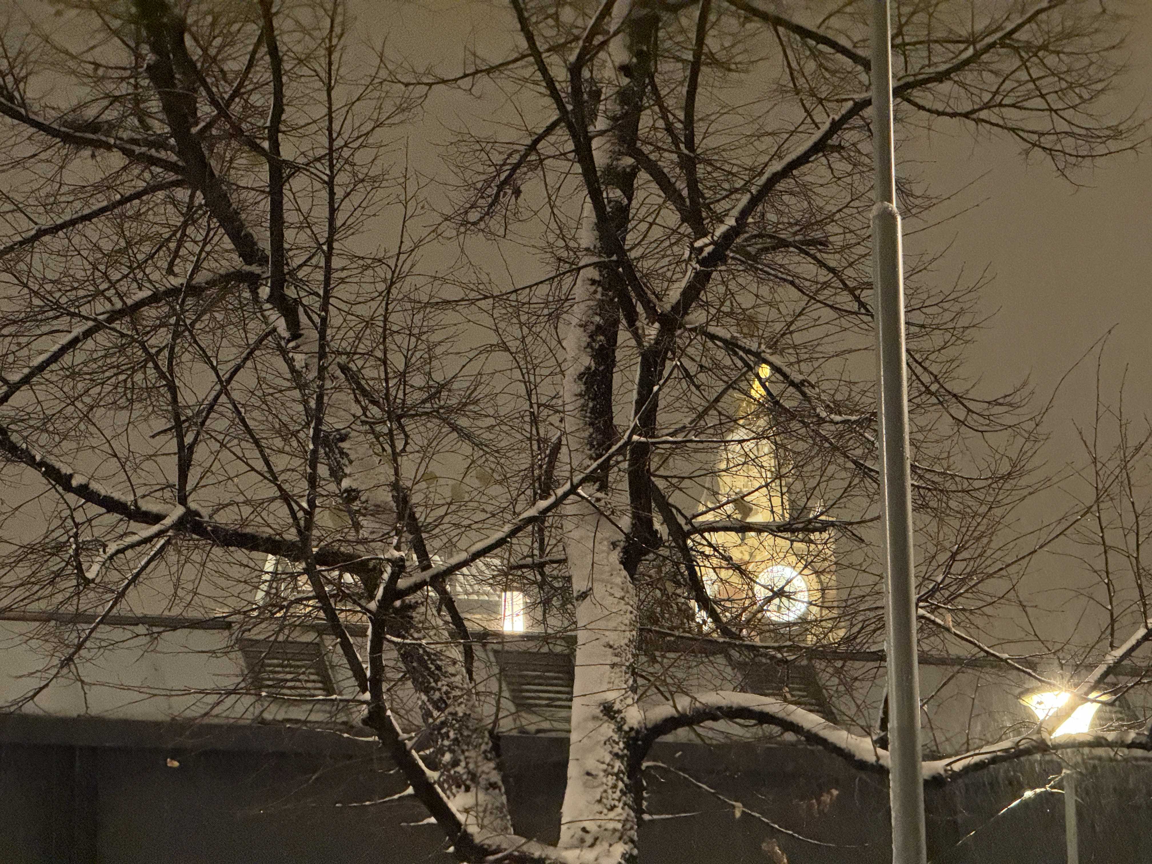 snowy trees and clock tower