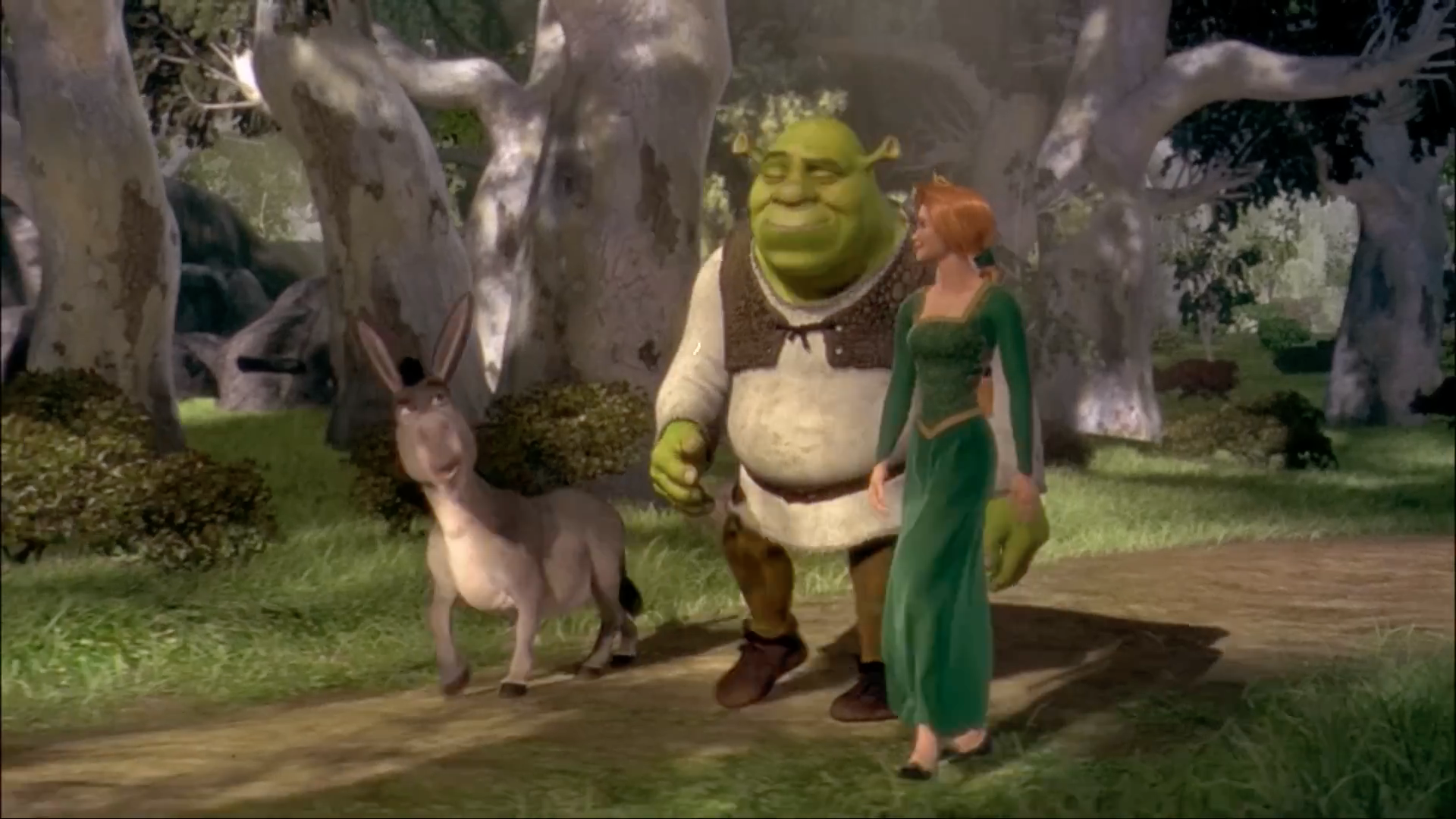 animated forest walk