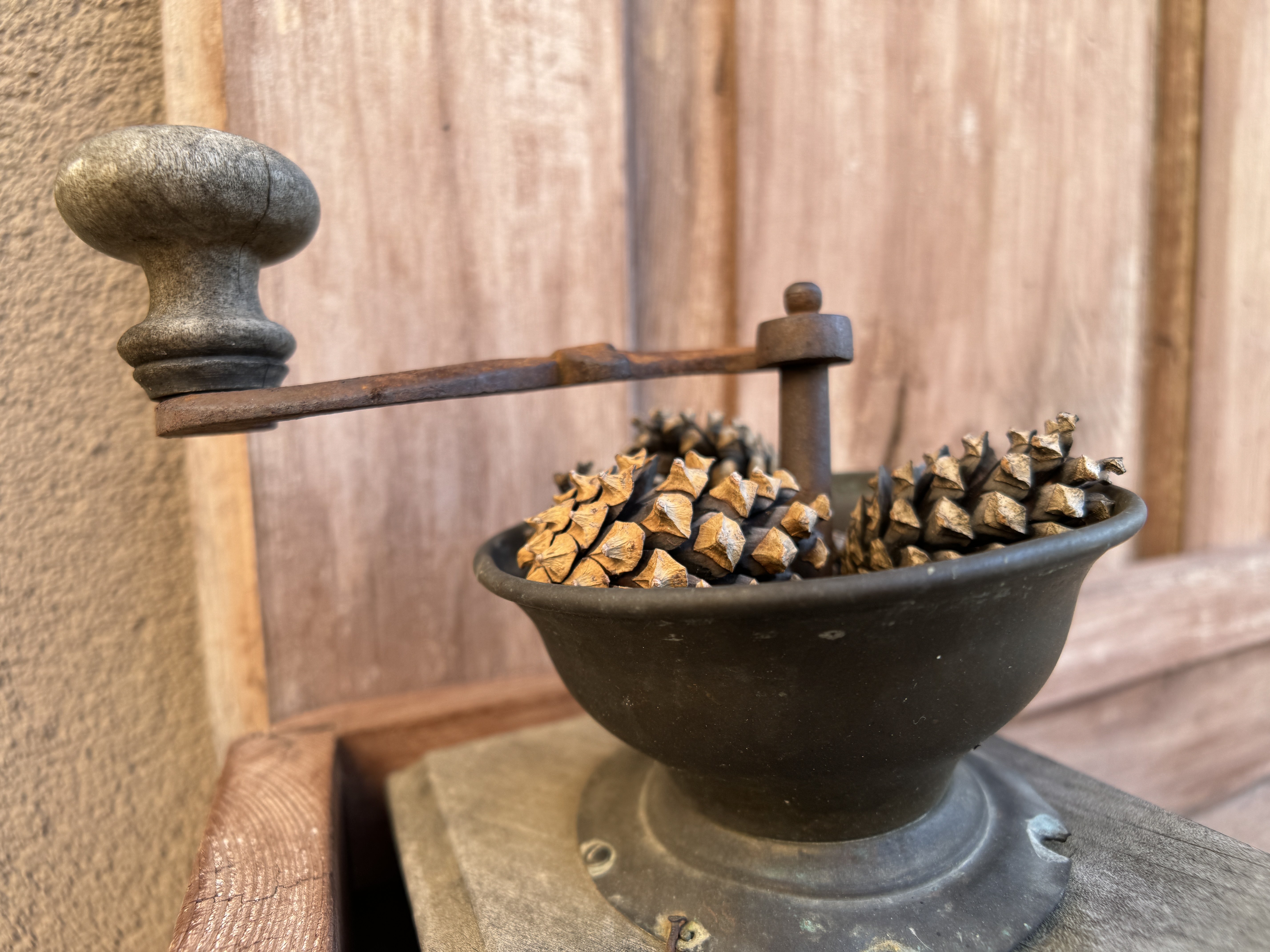 antique coffee grinder with pinecones