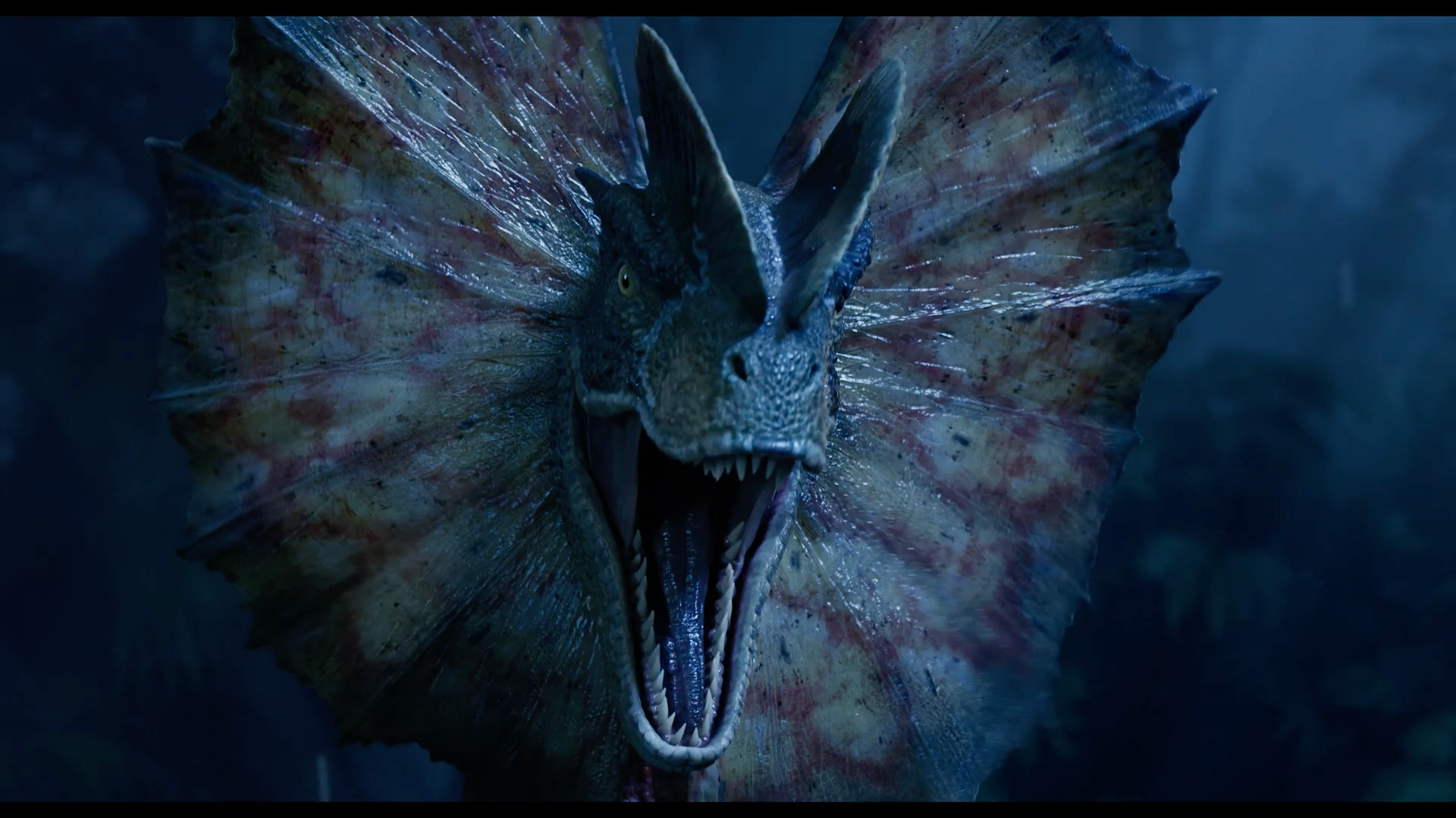 dinosaur with frill roaring