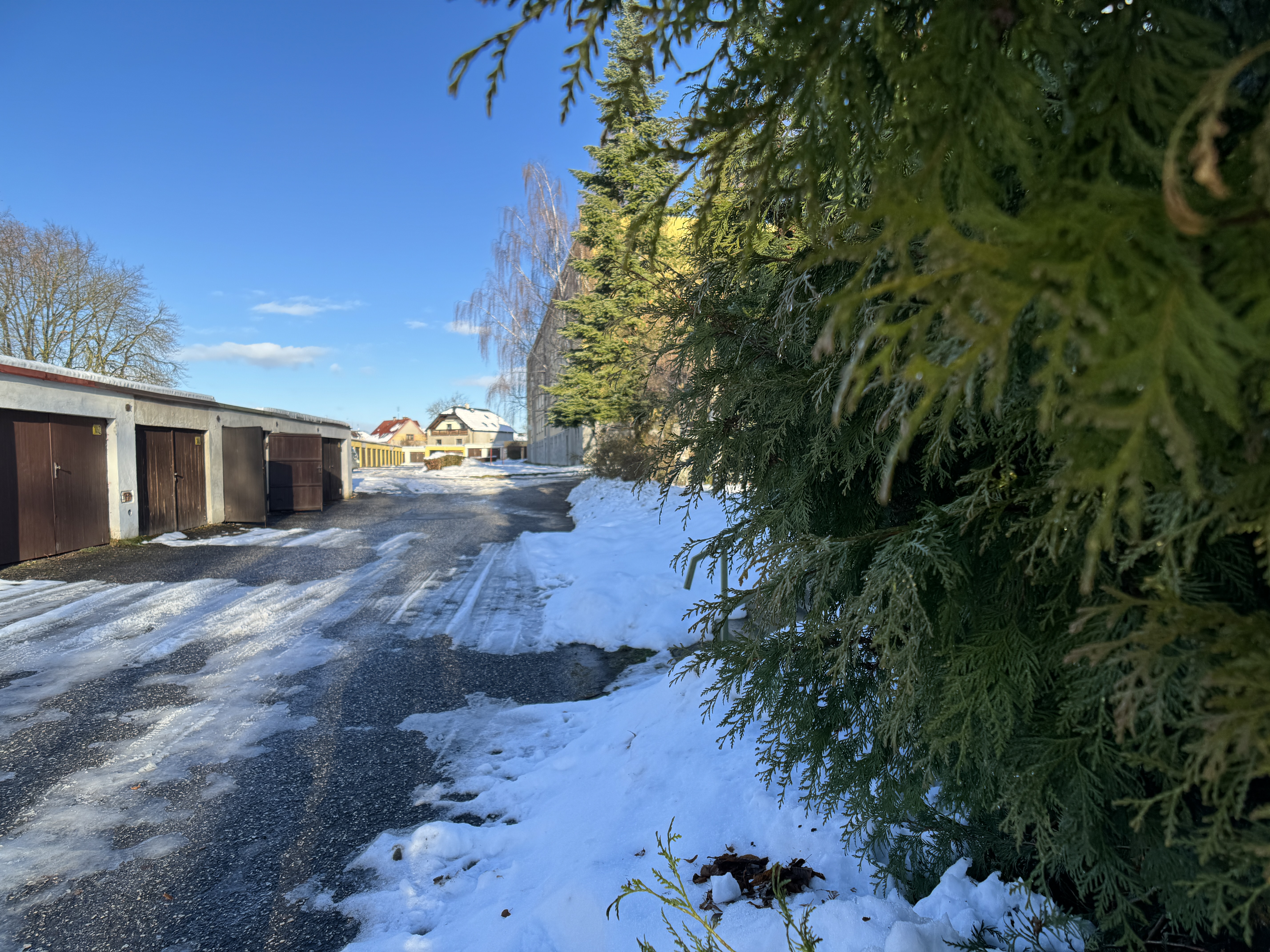 driveway with snow and trees