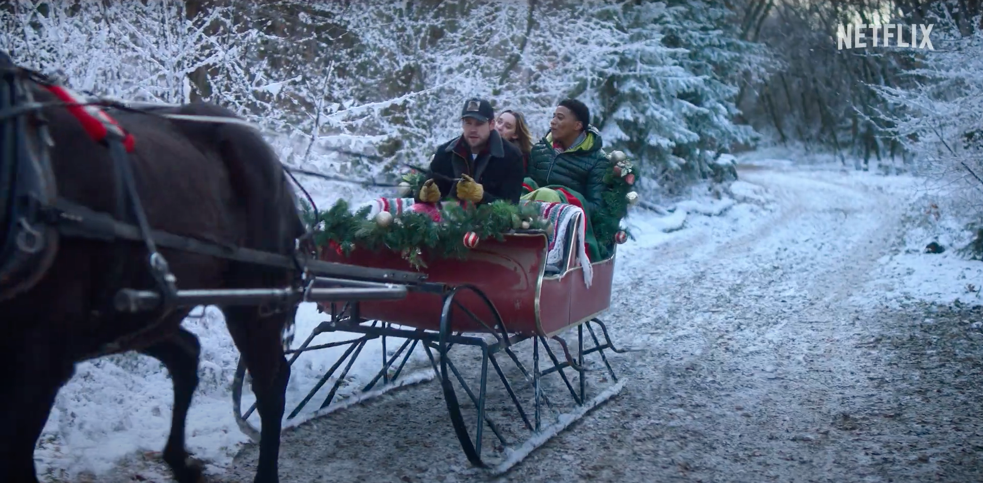 horse drawn sleigh ride