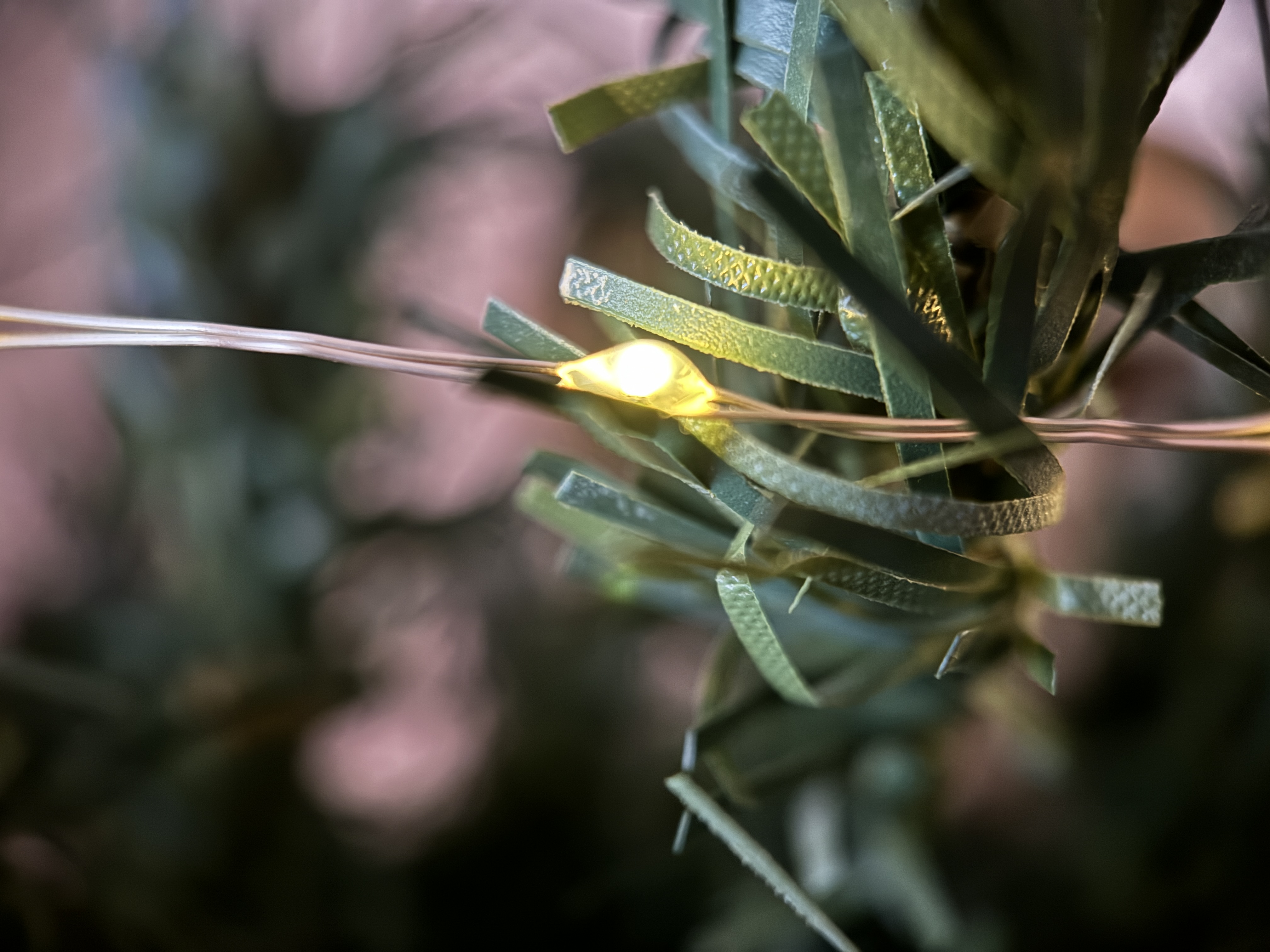 led light on greenery