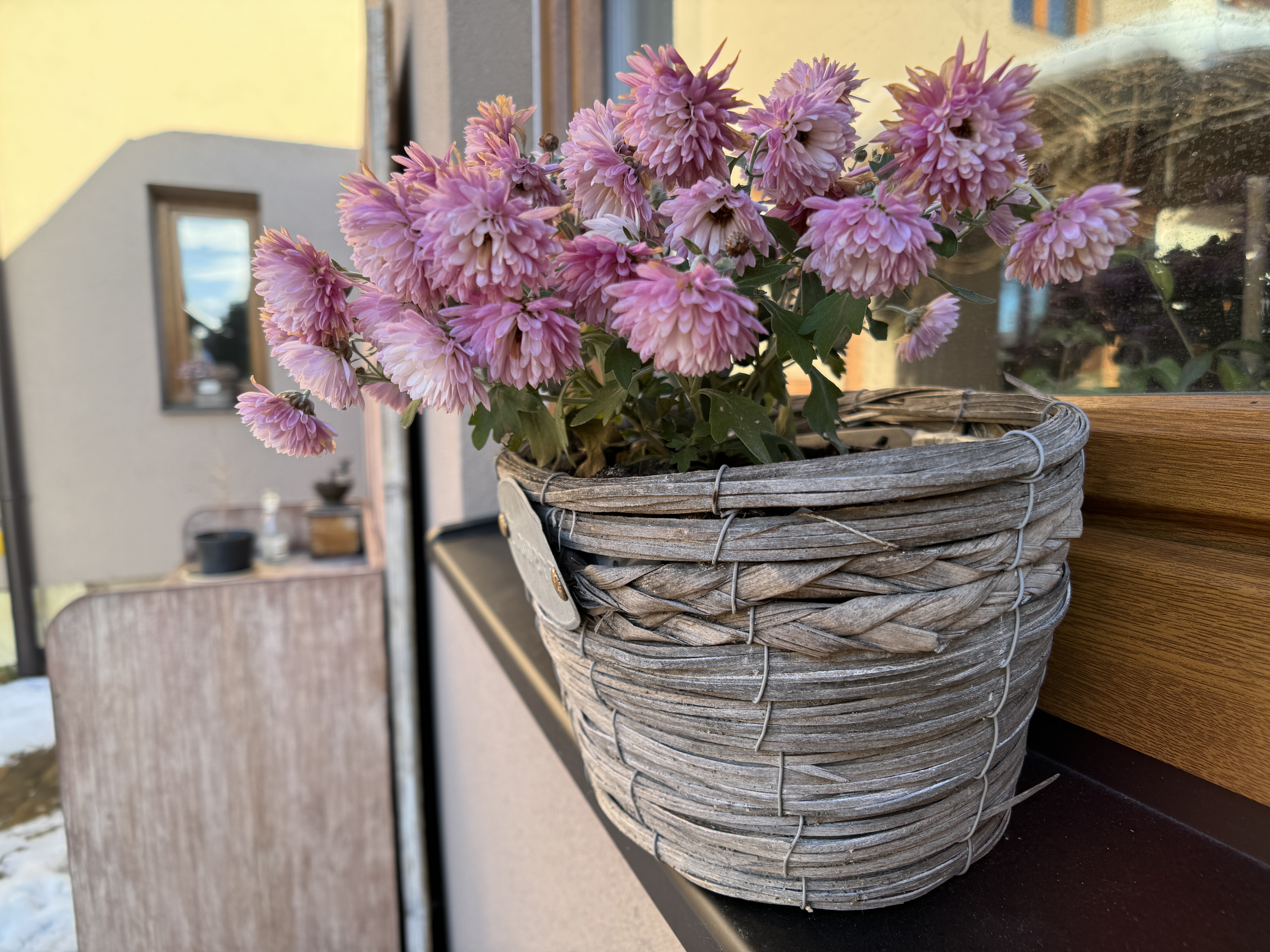 pink flowers in basket