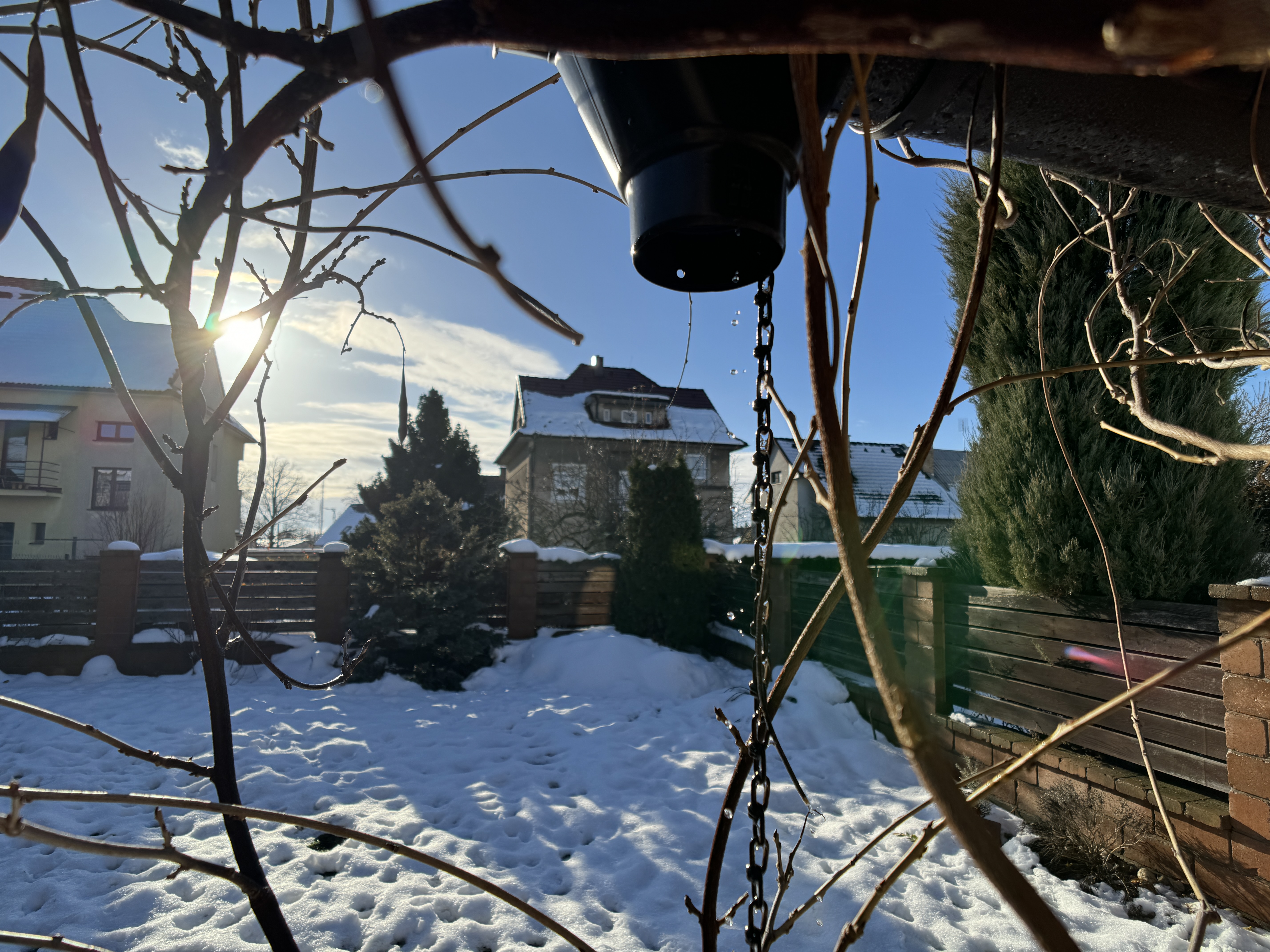 snowy garden with sunlight