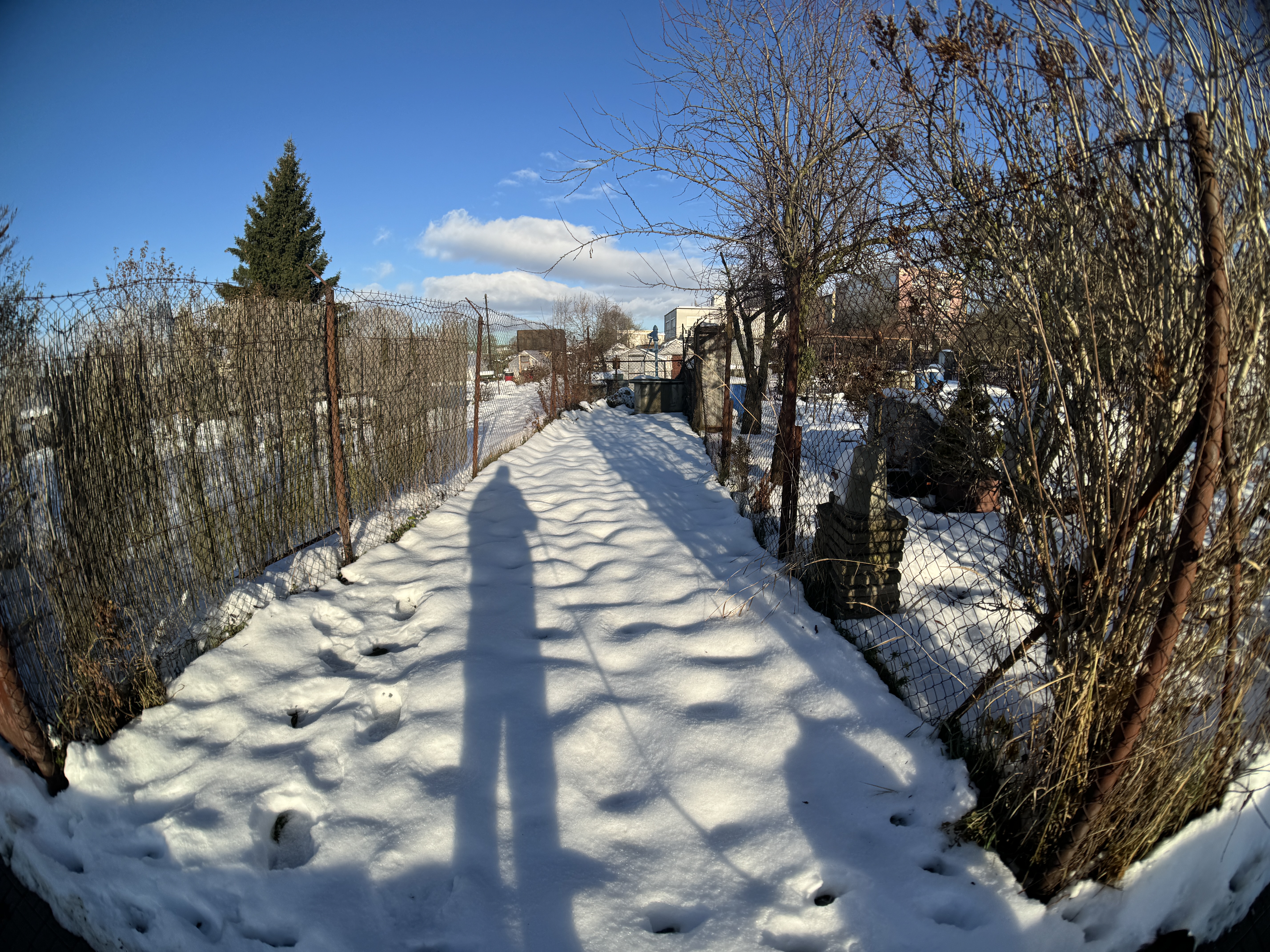 snowy path with fence