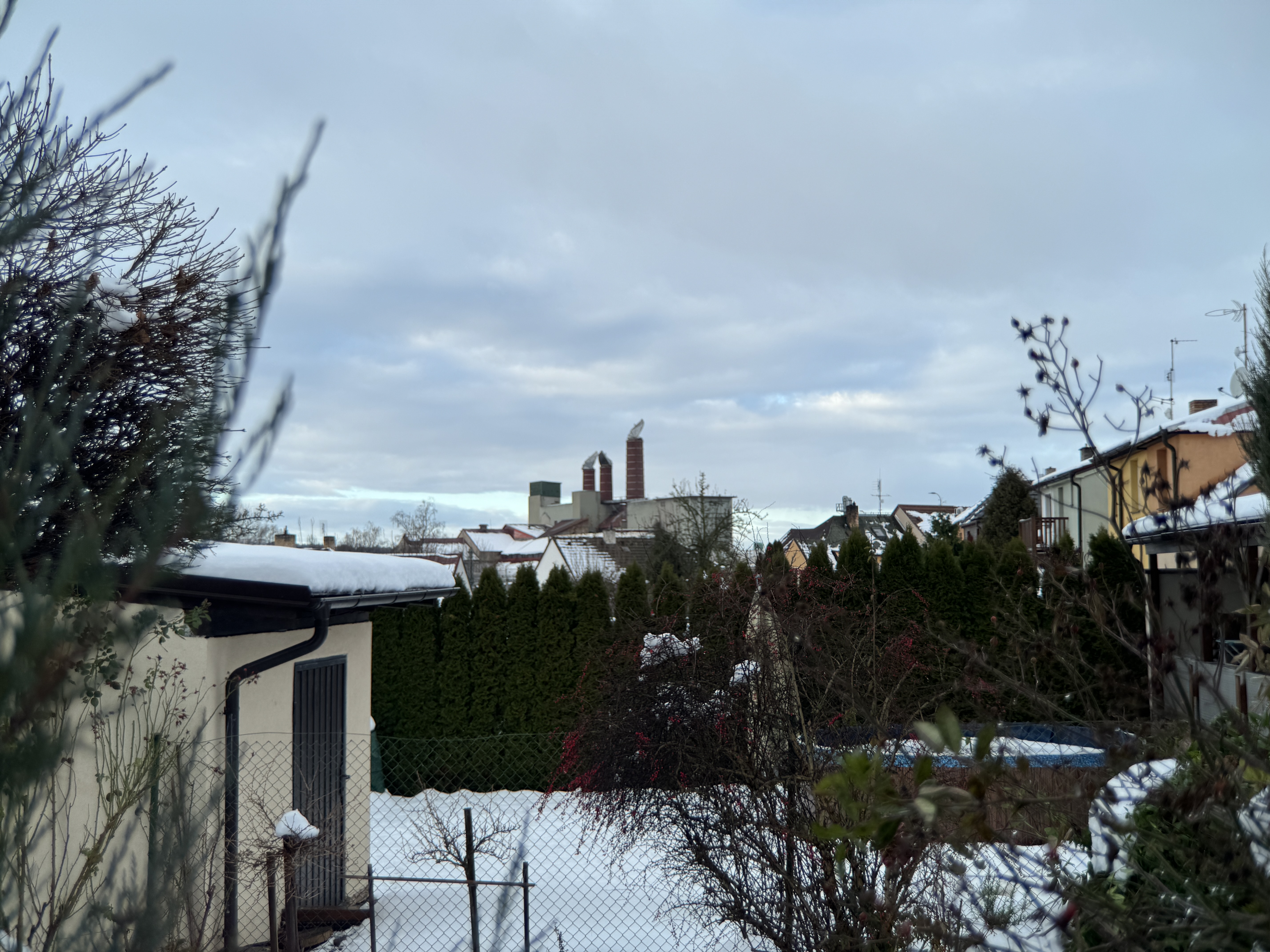 snowy suburban landscape