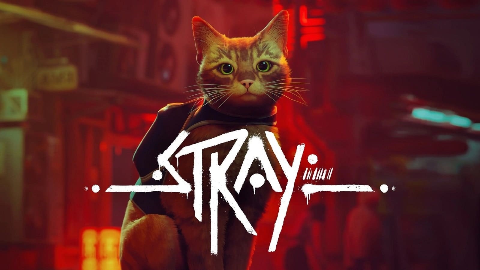 stray-key-art_1 stray-key-art_1