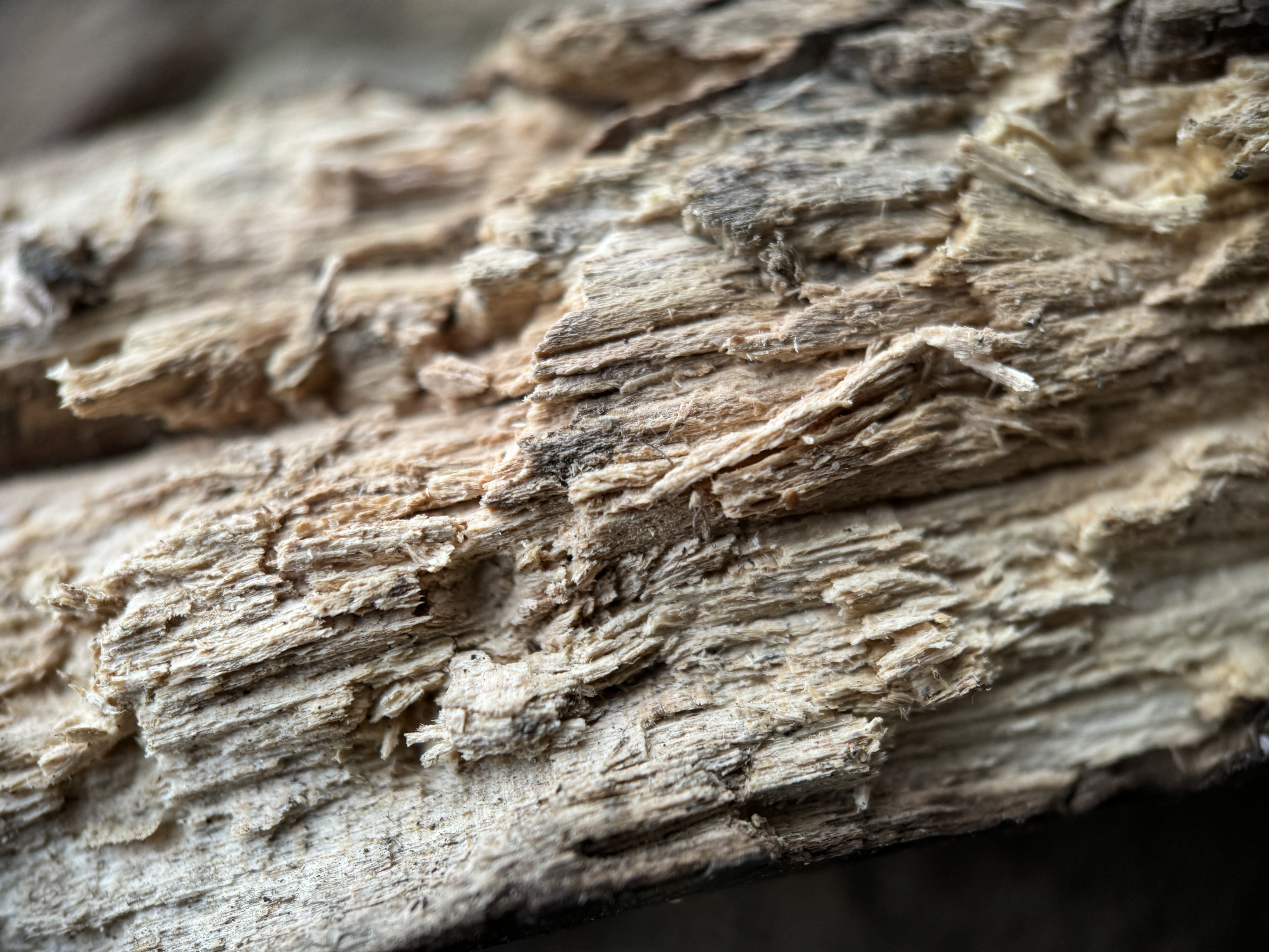 weathered wood texture
