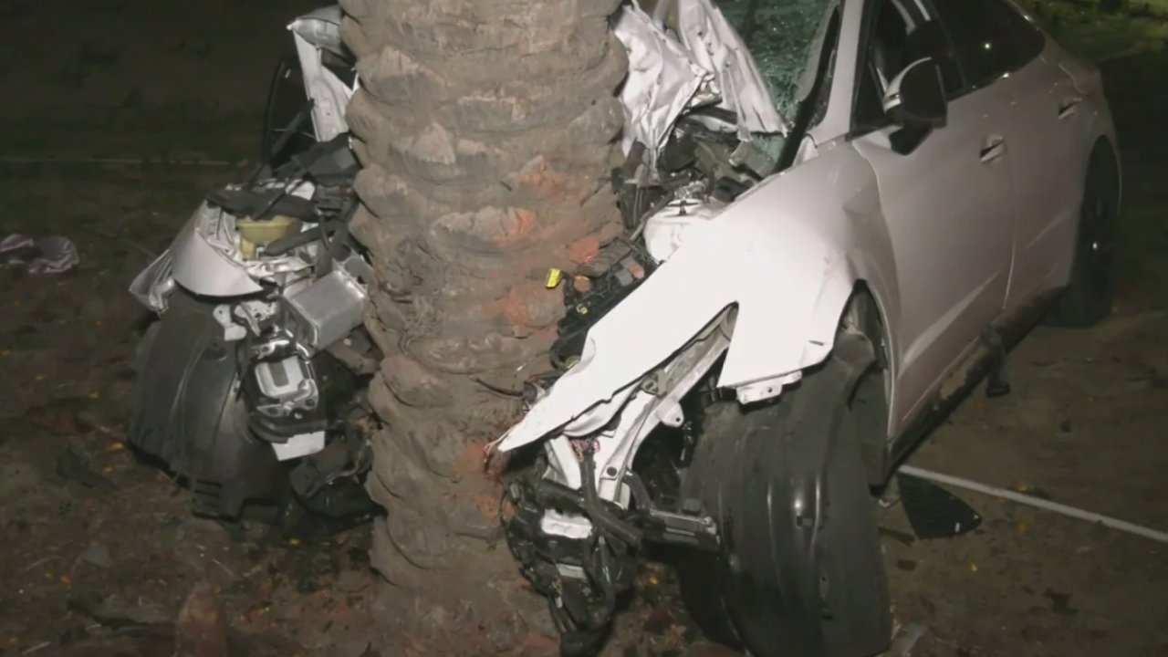 car crash tree impact