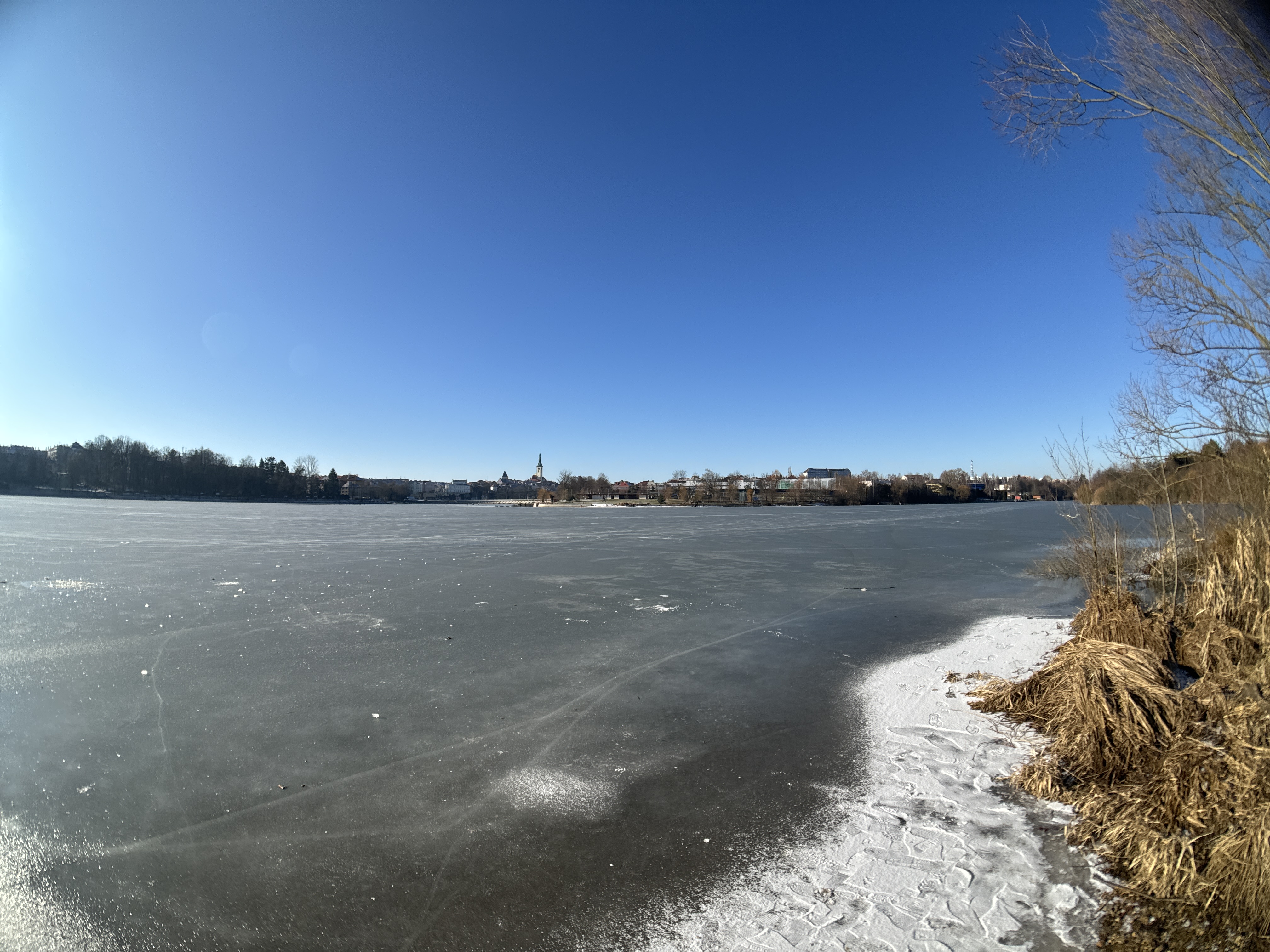 frozen lake trees