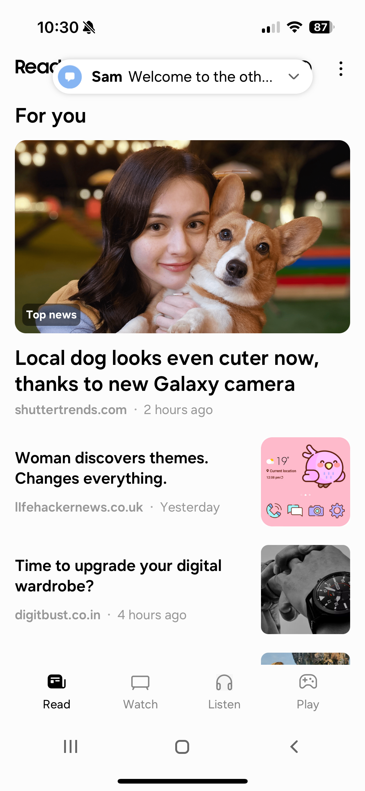 google news feed dog photo