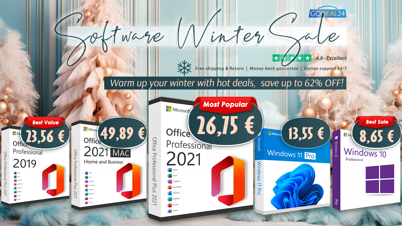 software winter sale banner