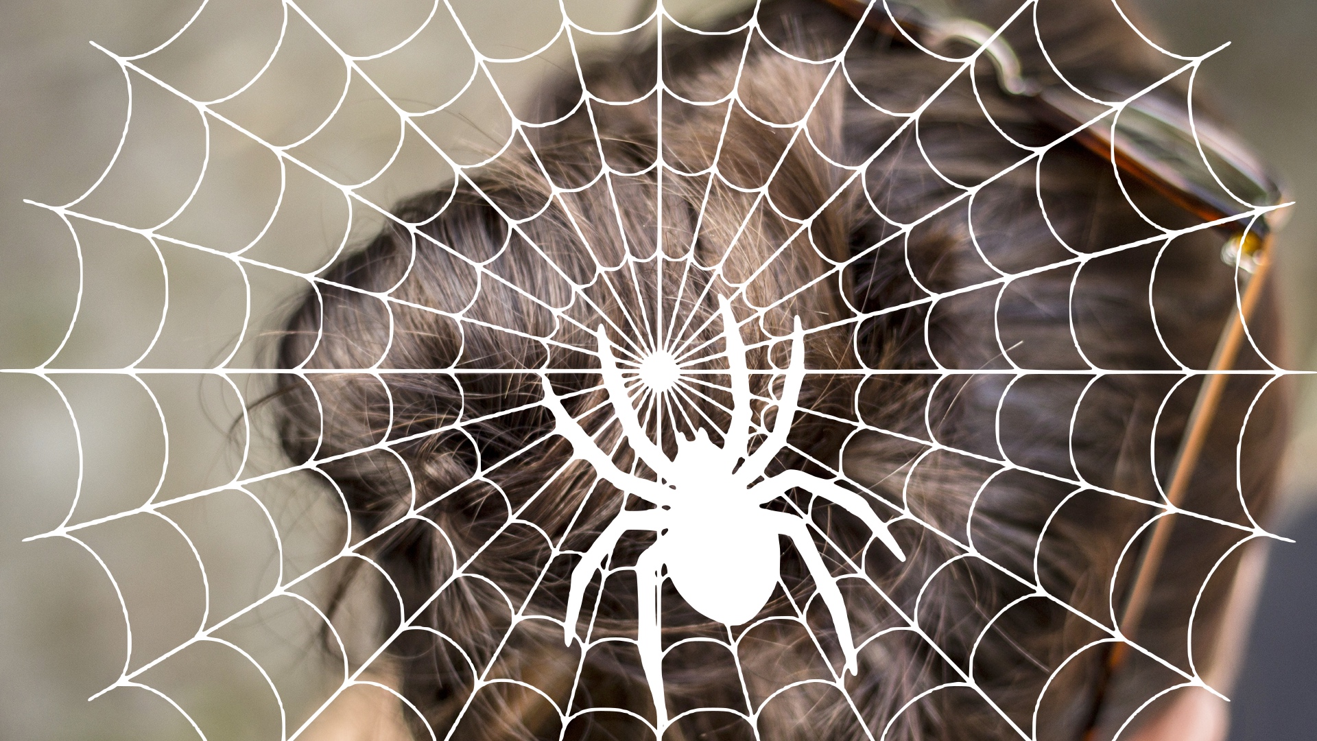 Spider hair bun pixa