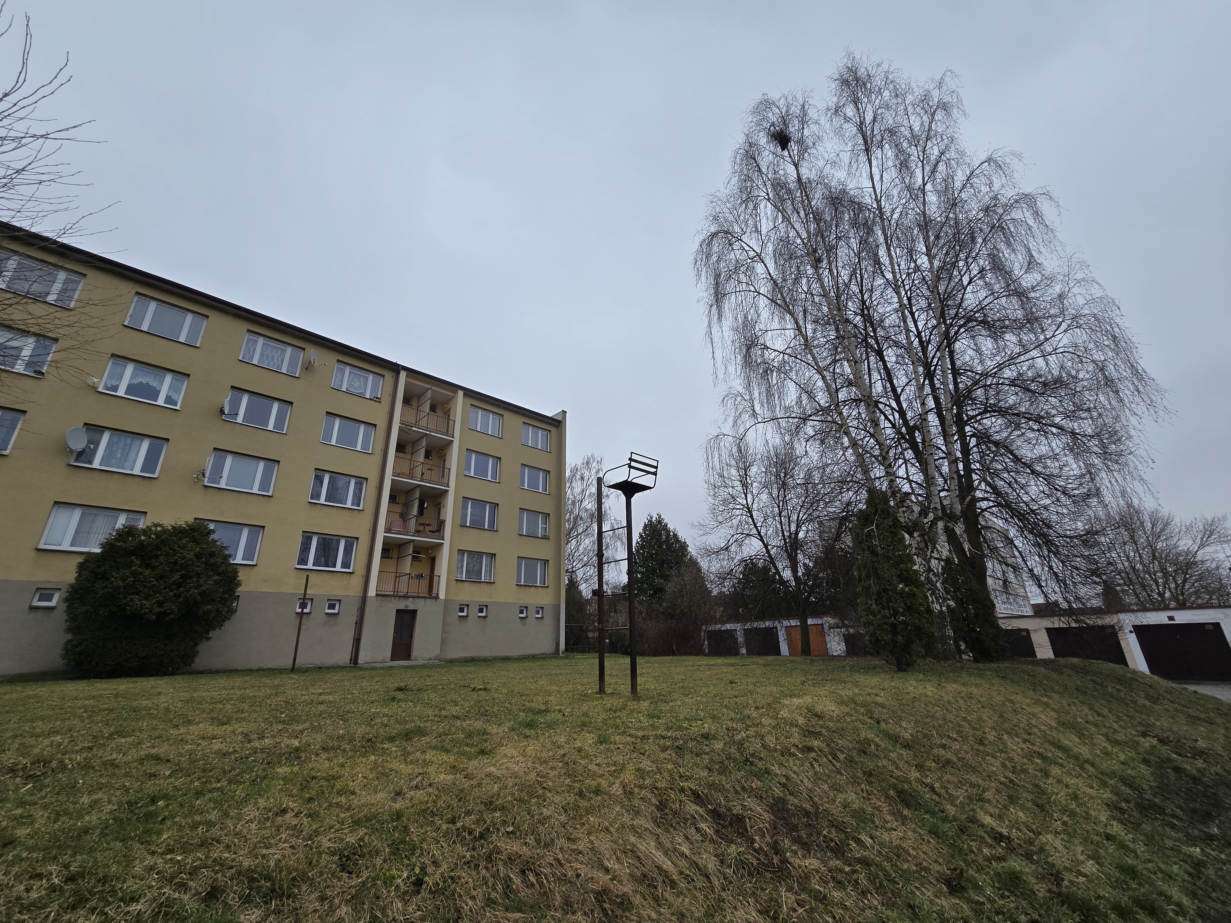 apartment building bare trees