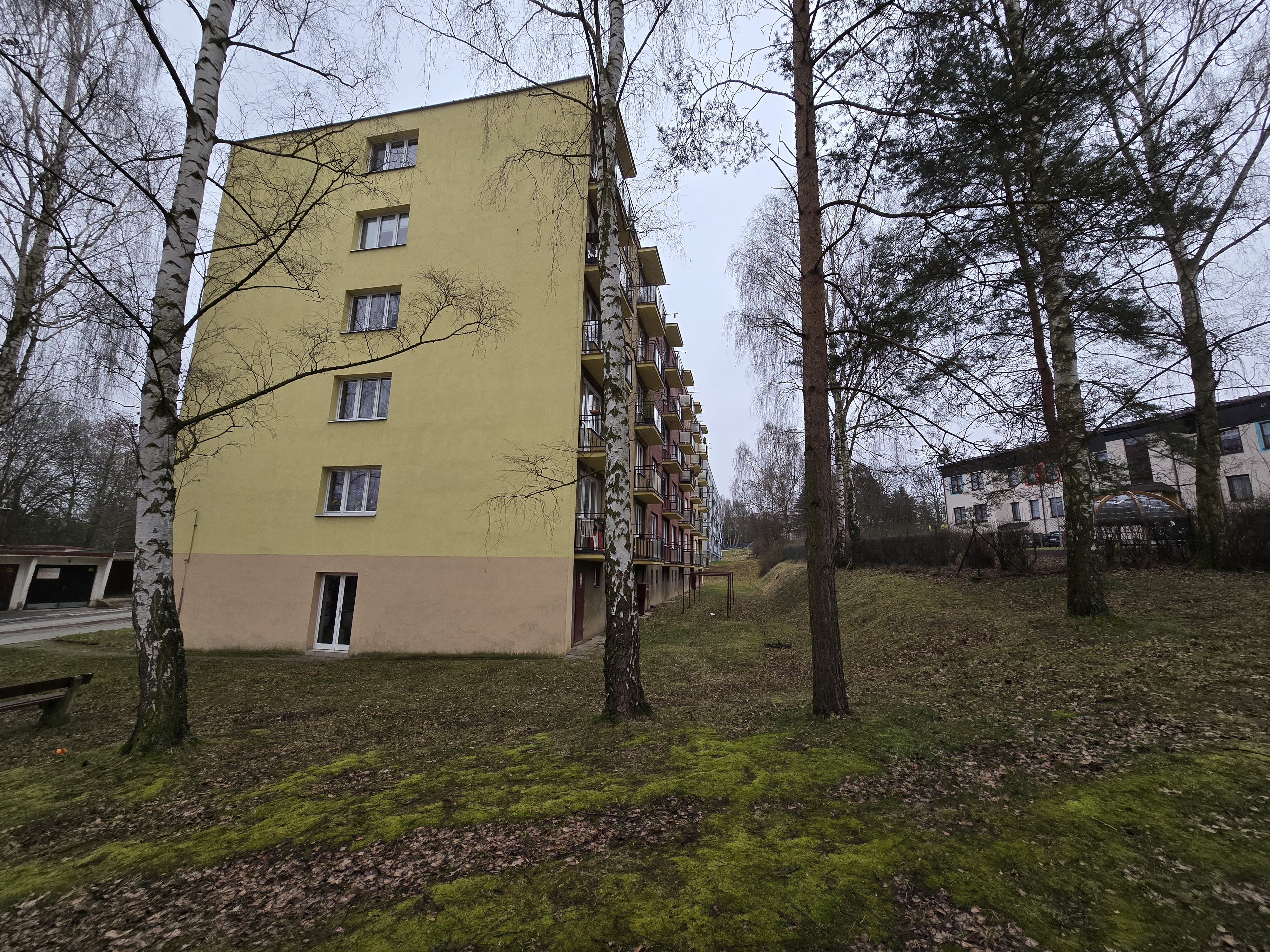 apartment building trees
