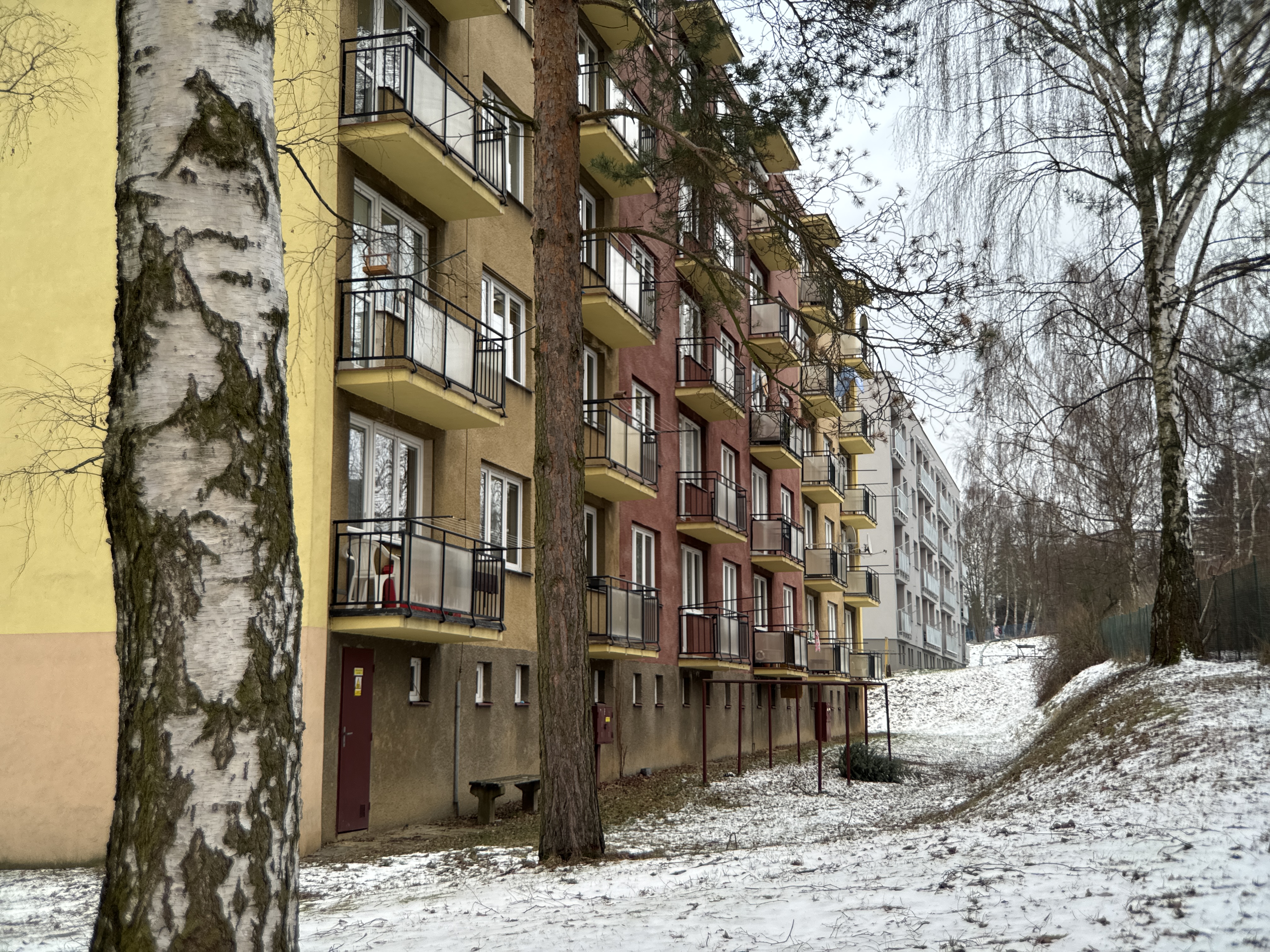 apartment buildings snowy path
