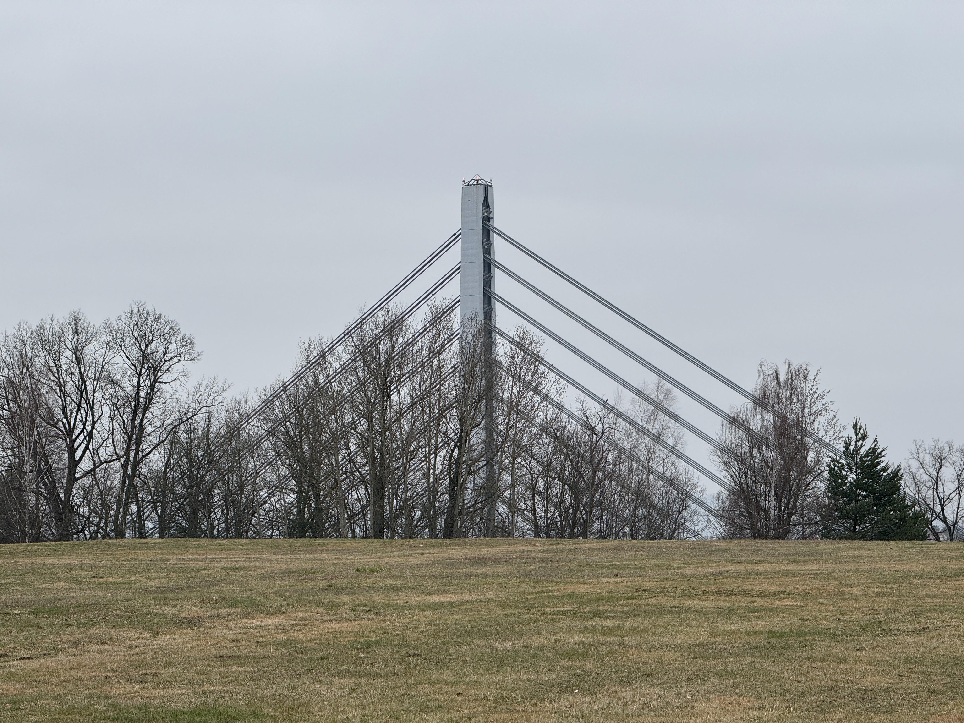 cable stayed bridge closeup