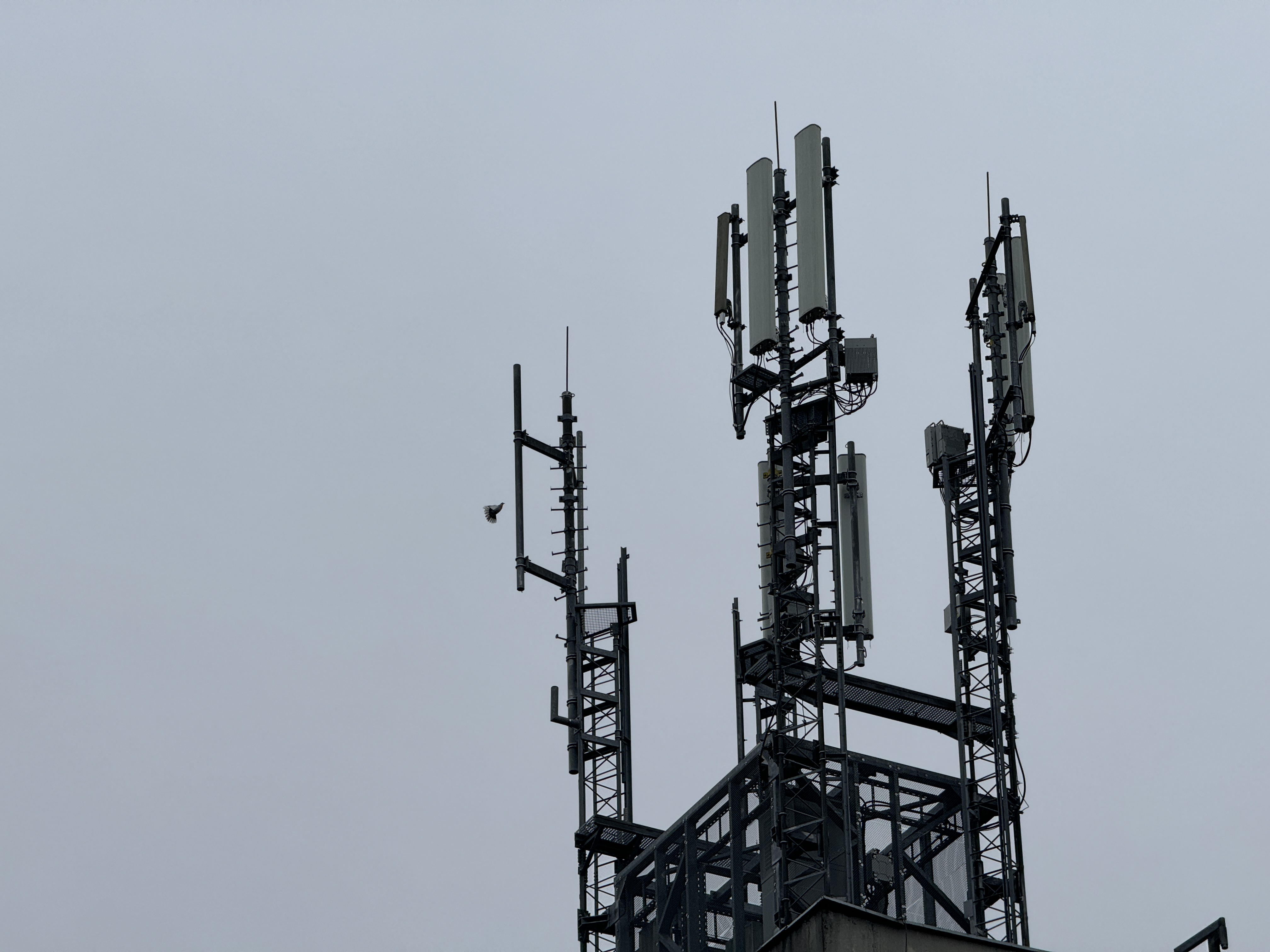 cell tower against sky