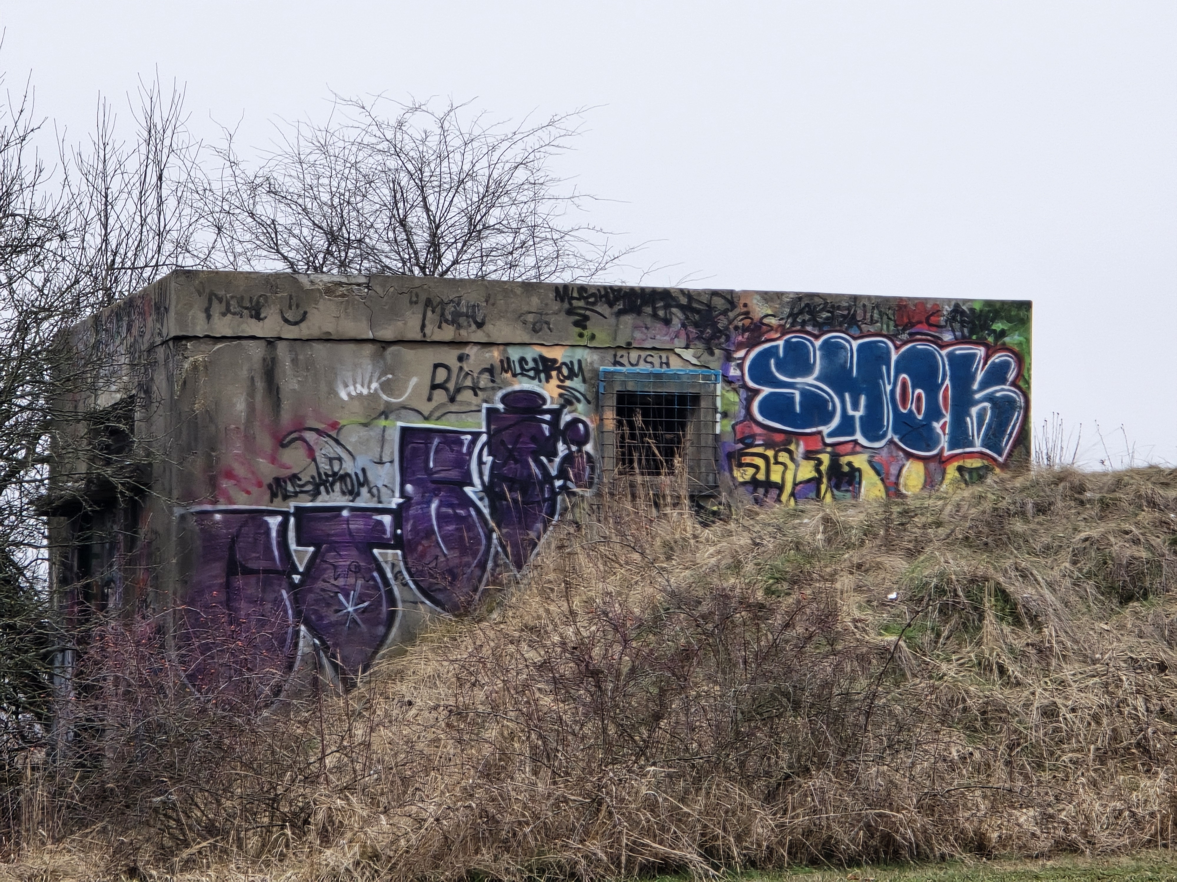 cityscape over railway