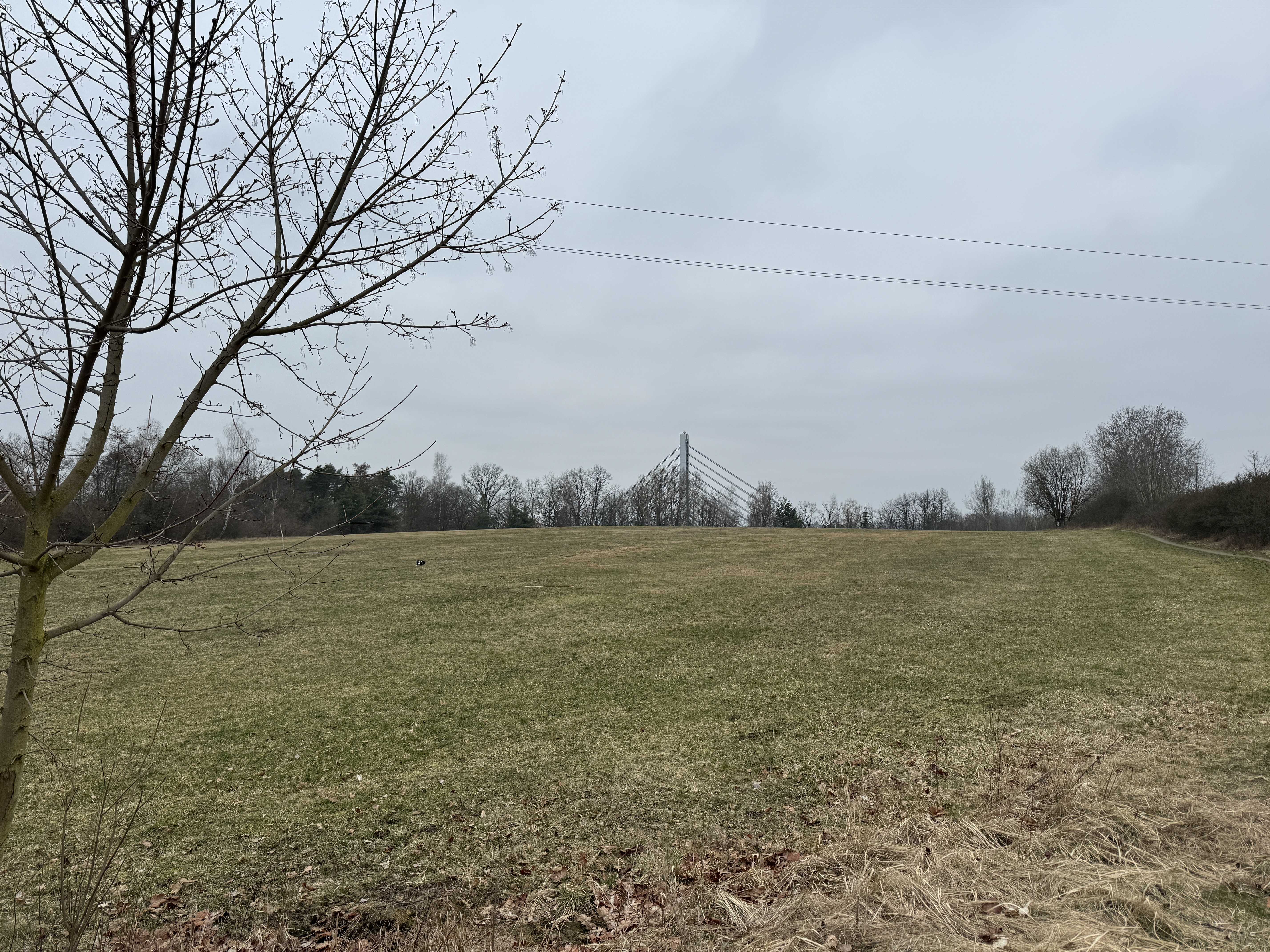 field with distant bridge