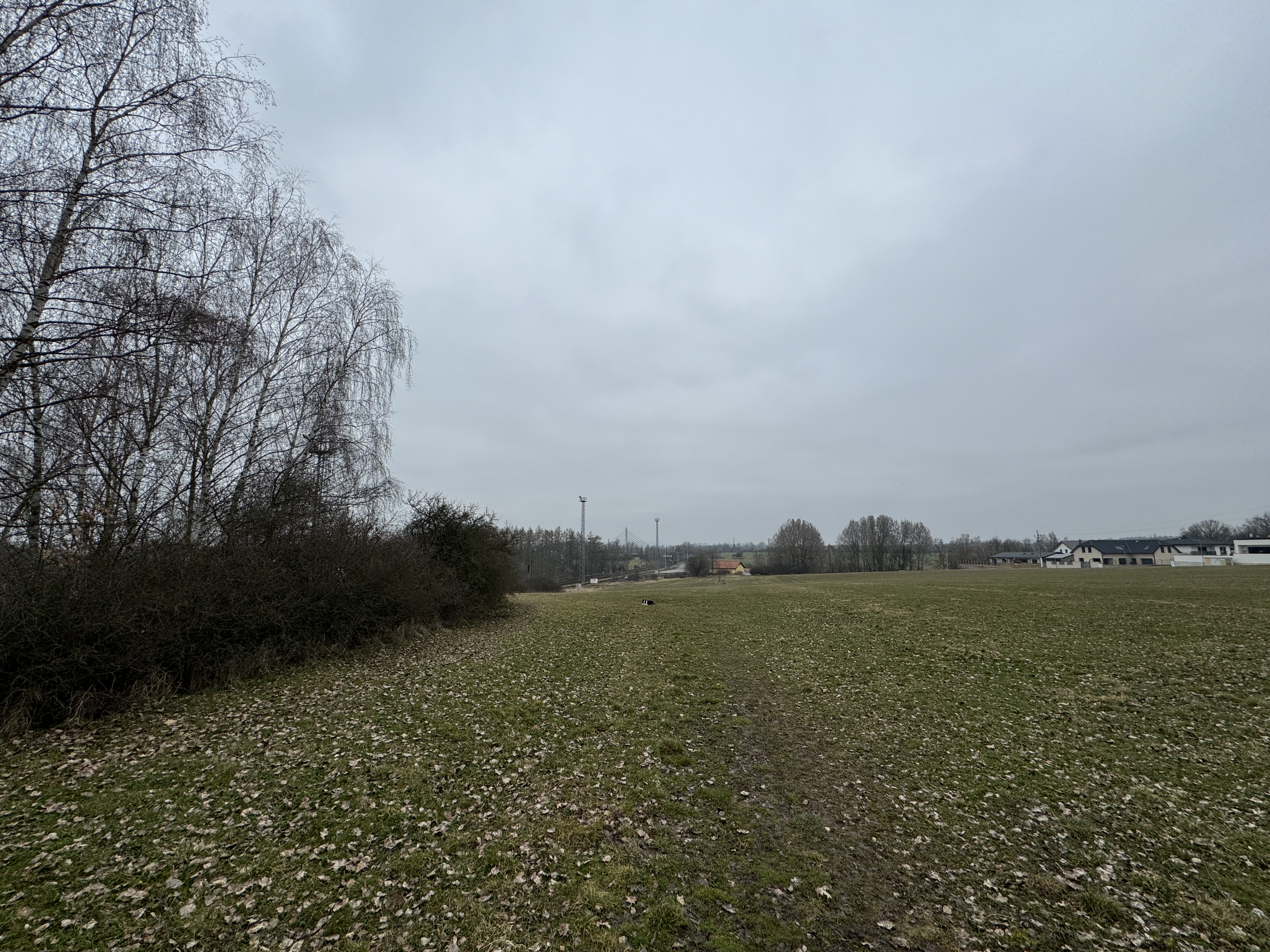 field with railway view