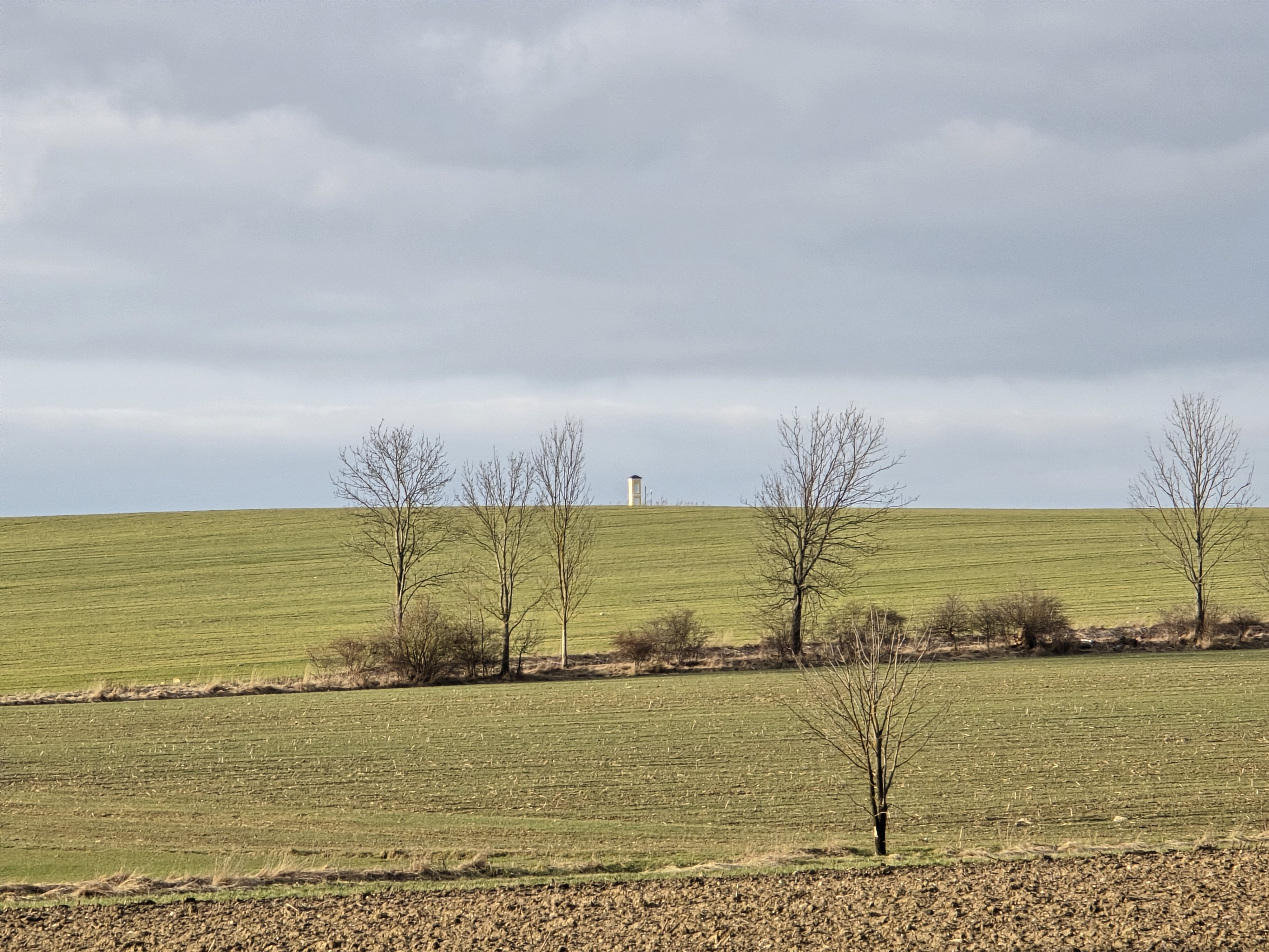 field with trees and structure