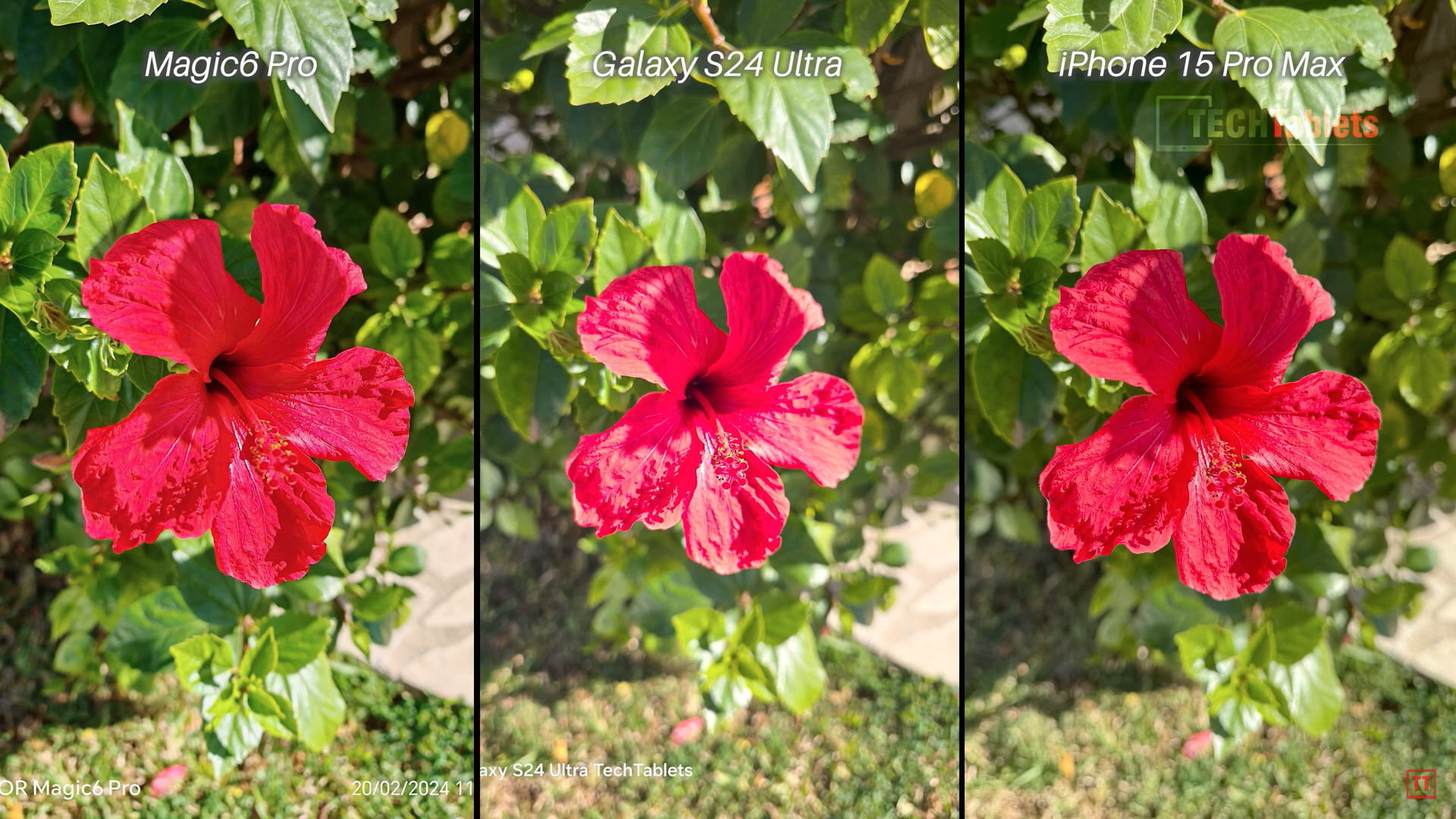 flower camera comparison