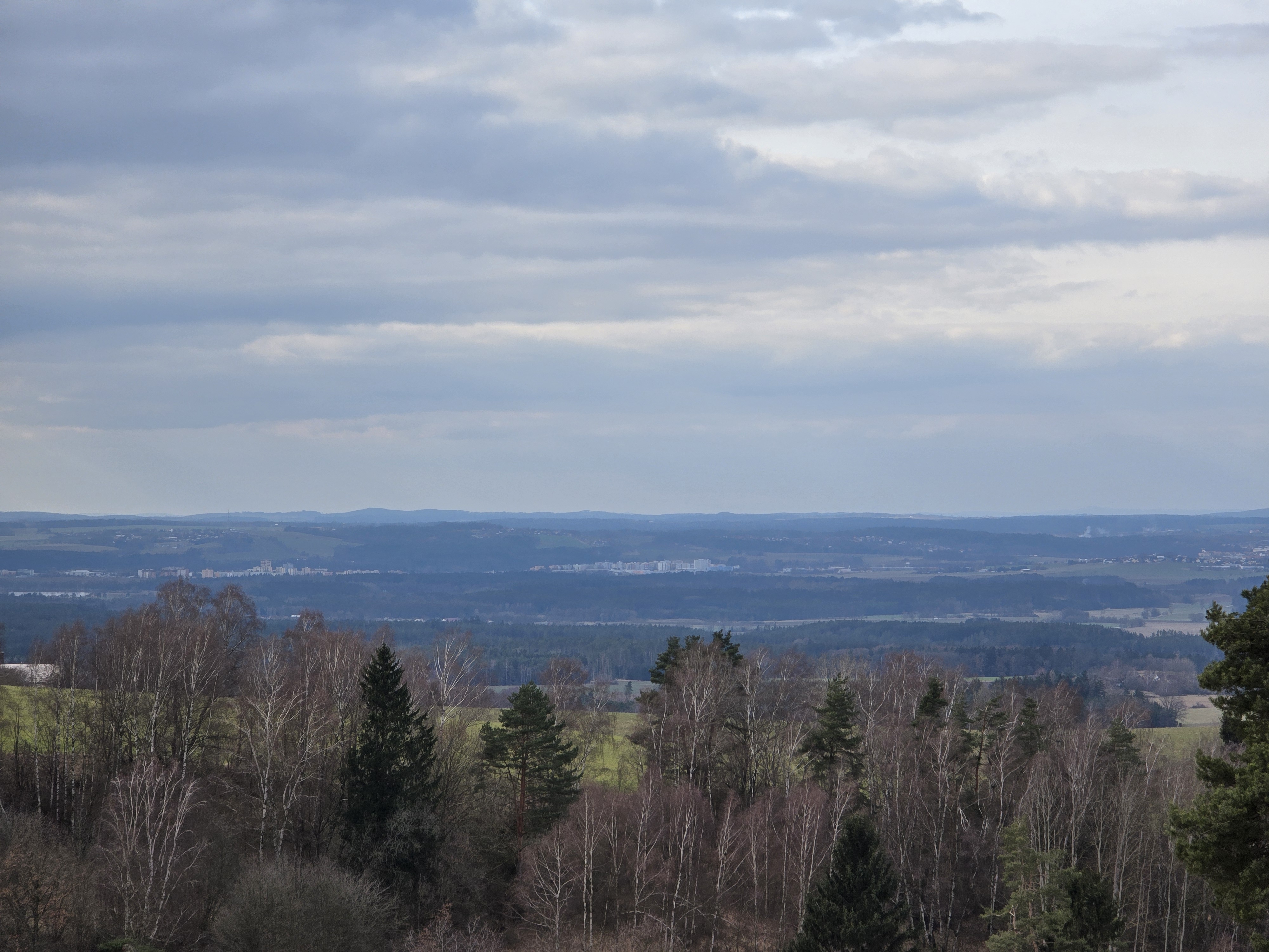 forest horizon distant view