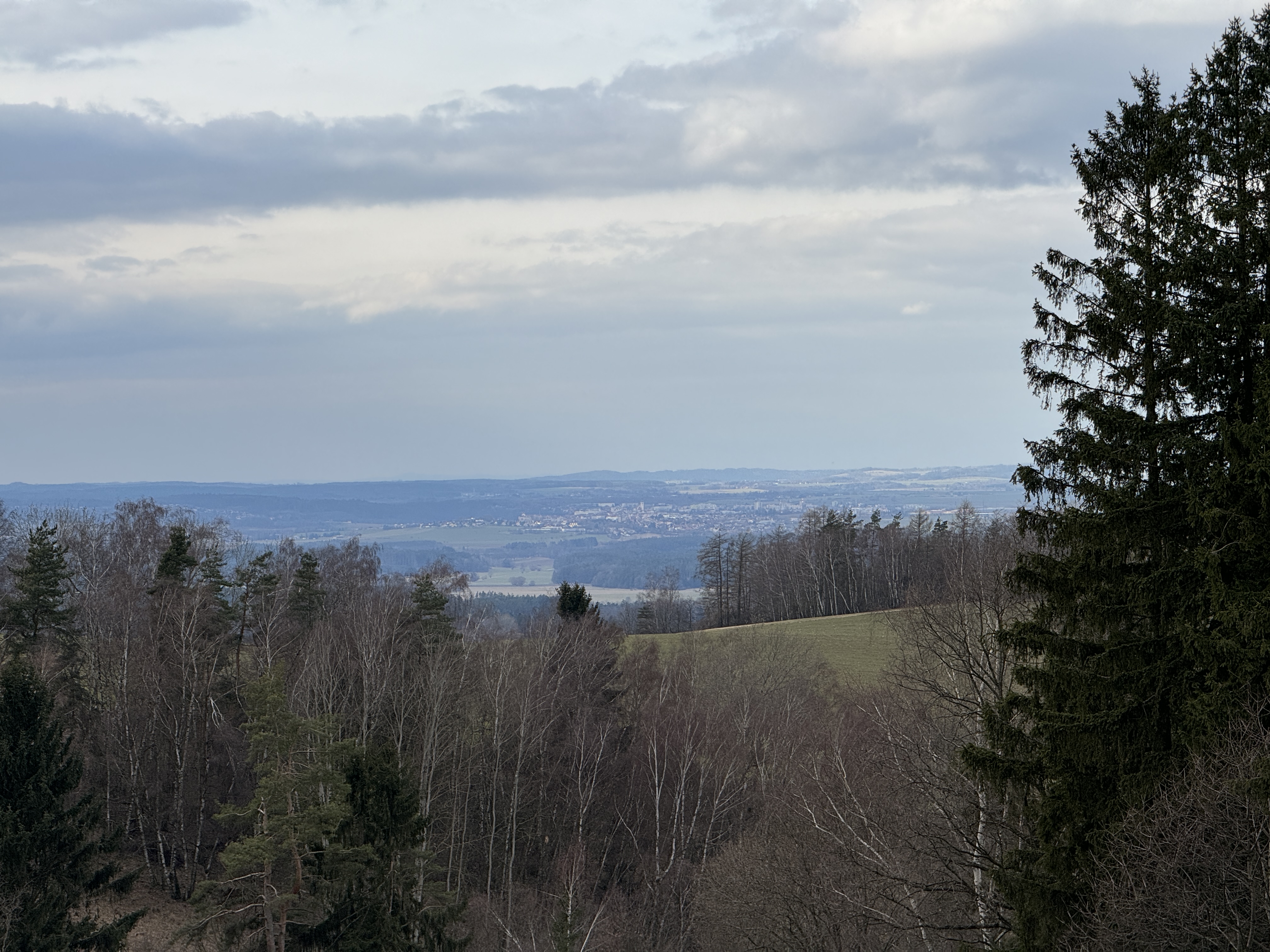 forest view with distant town