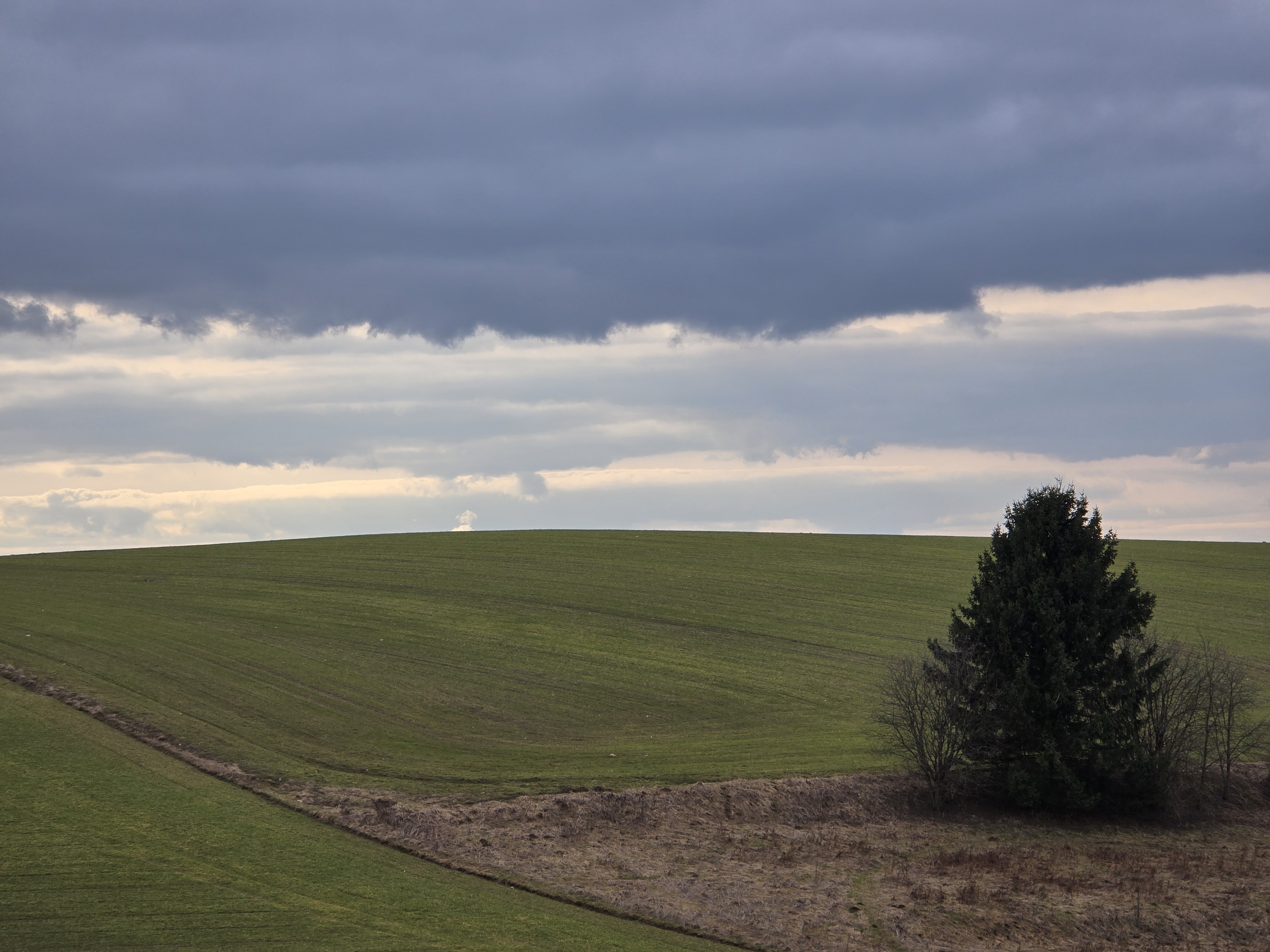 green field cloudy sky