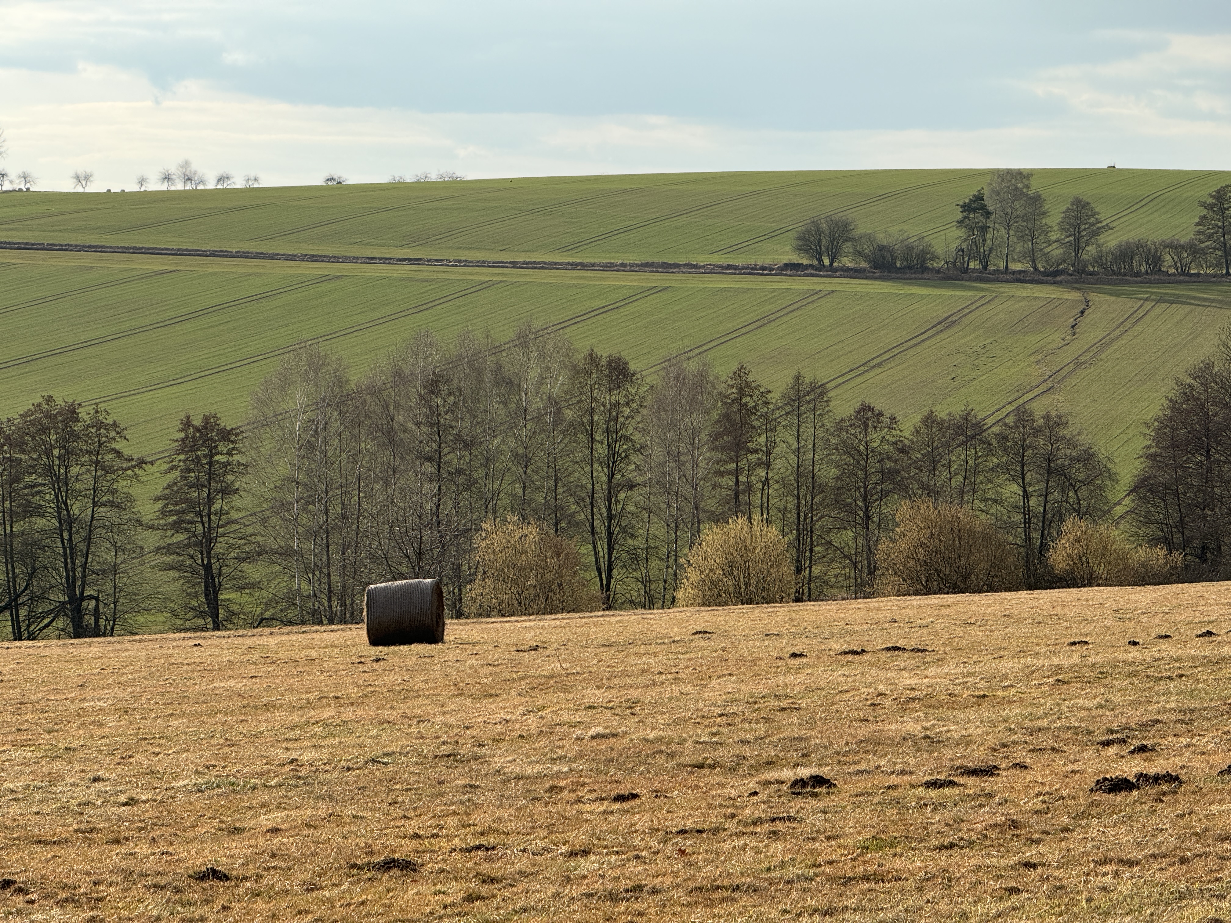 hay bale in field