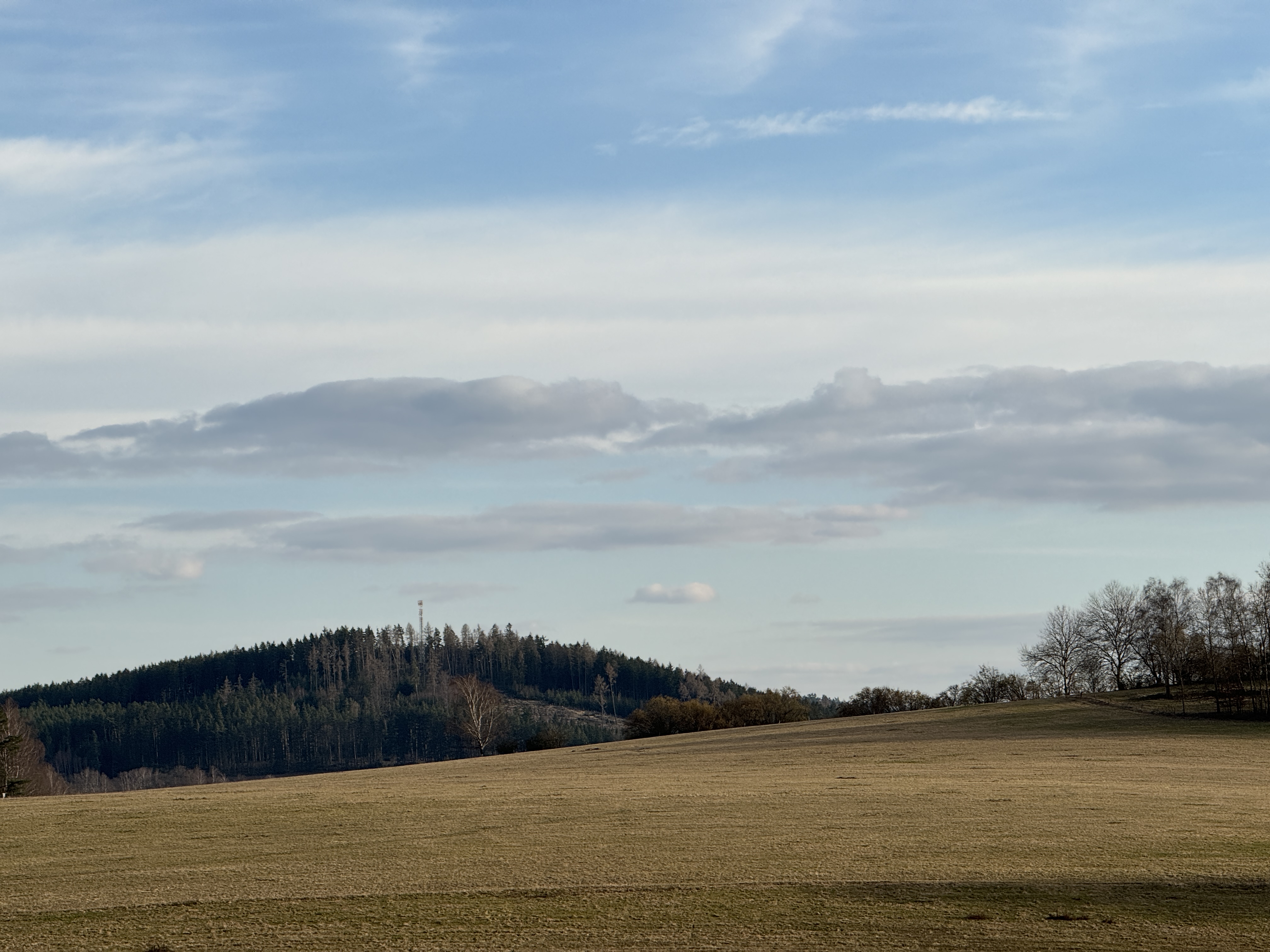hill with distant tower