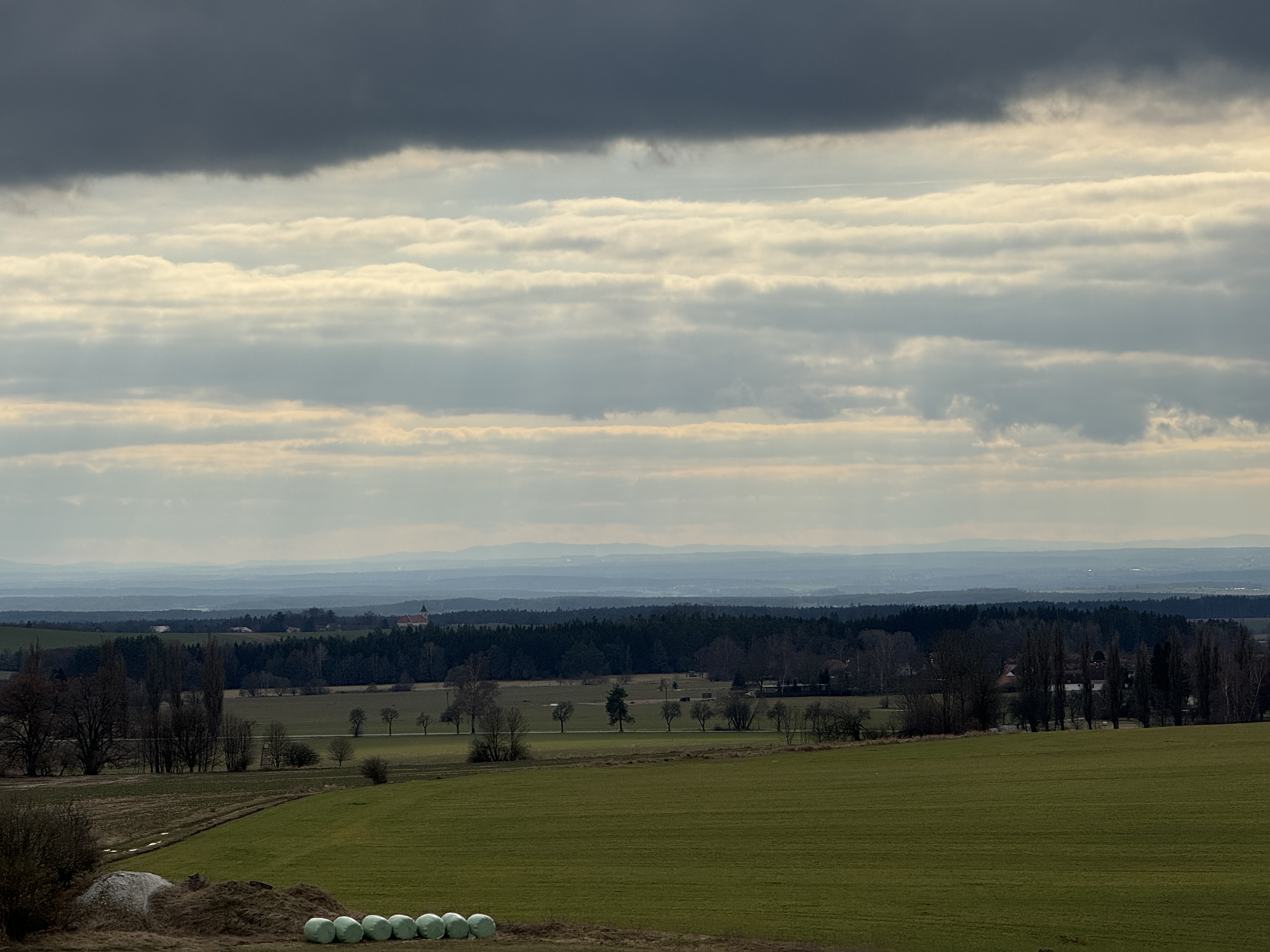 open field with forest
