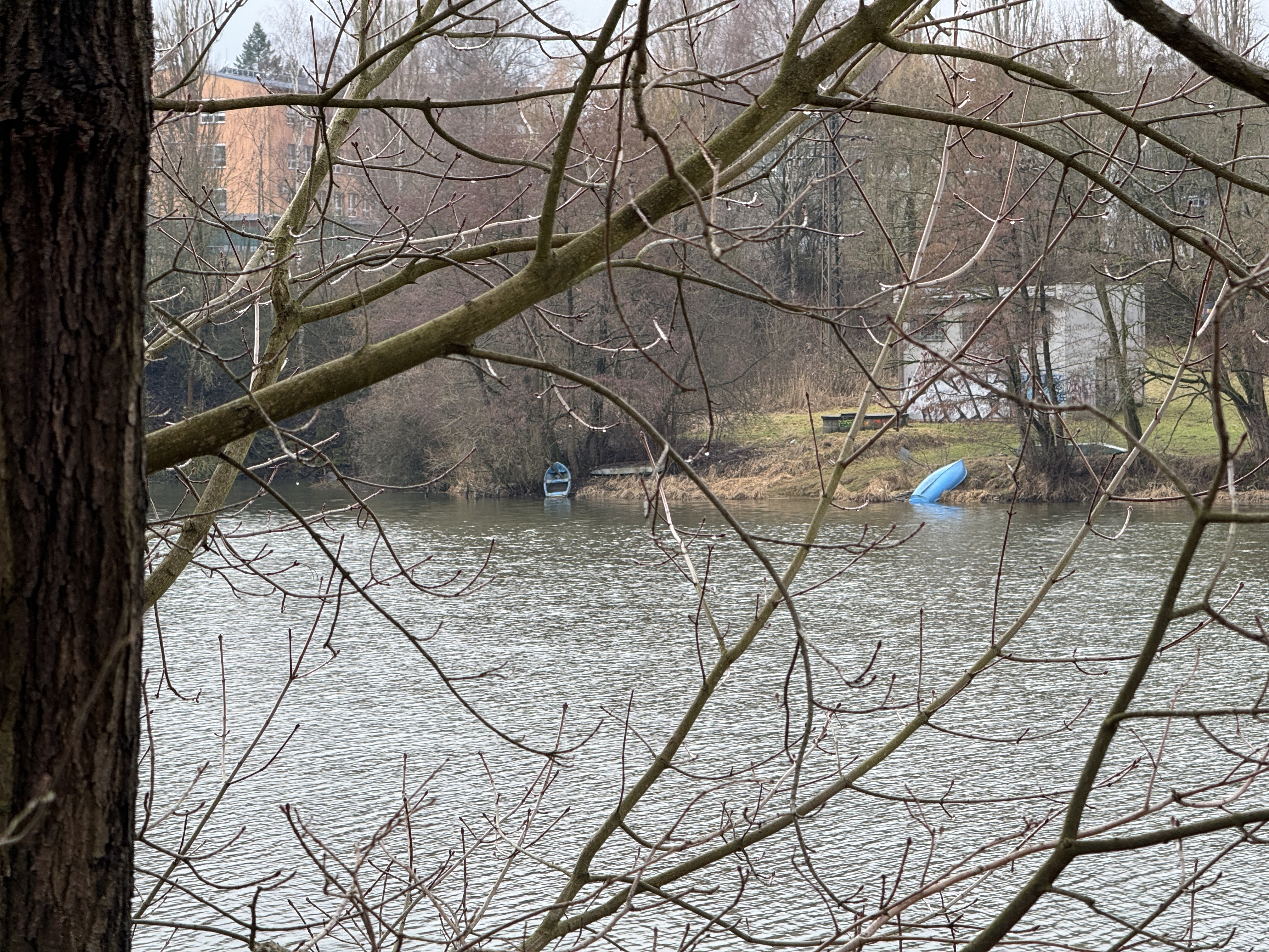 riverbank trees boat