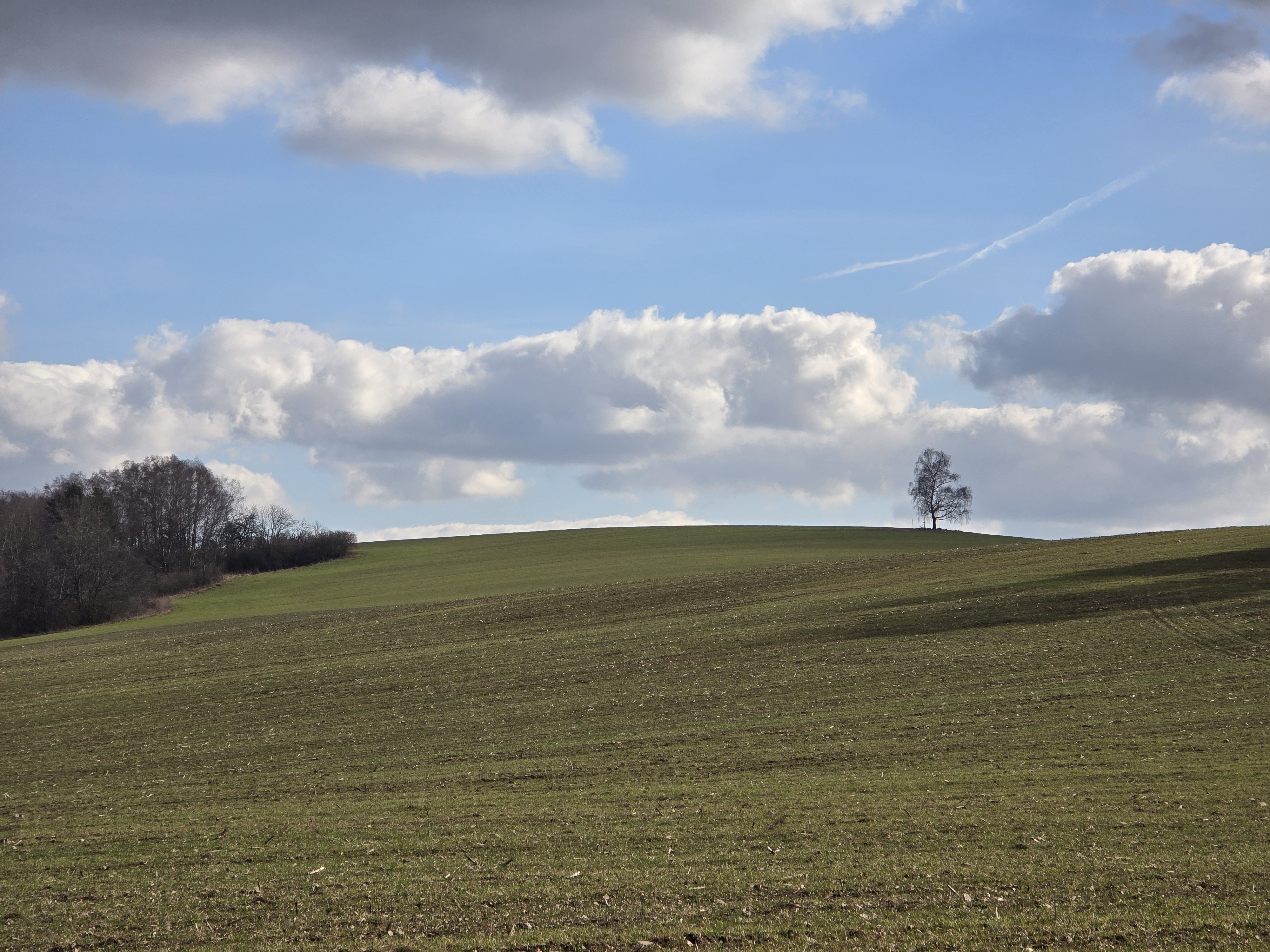 rolling hills lone tree