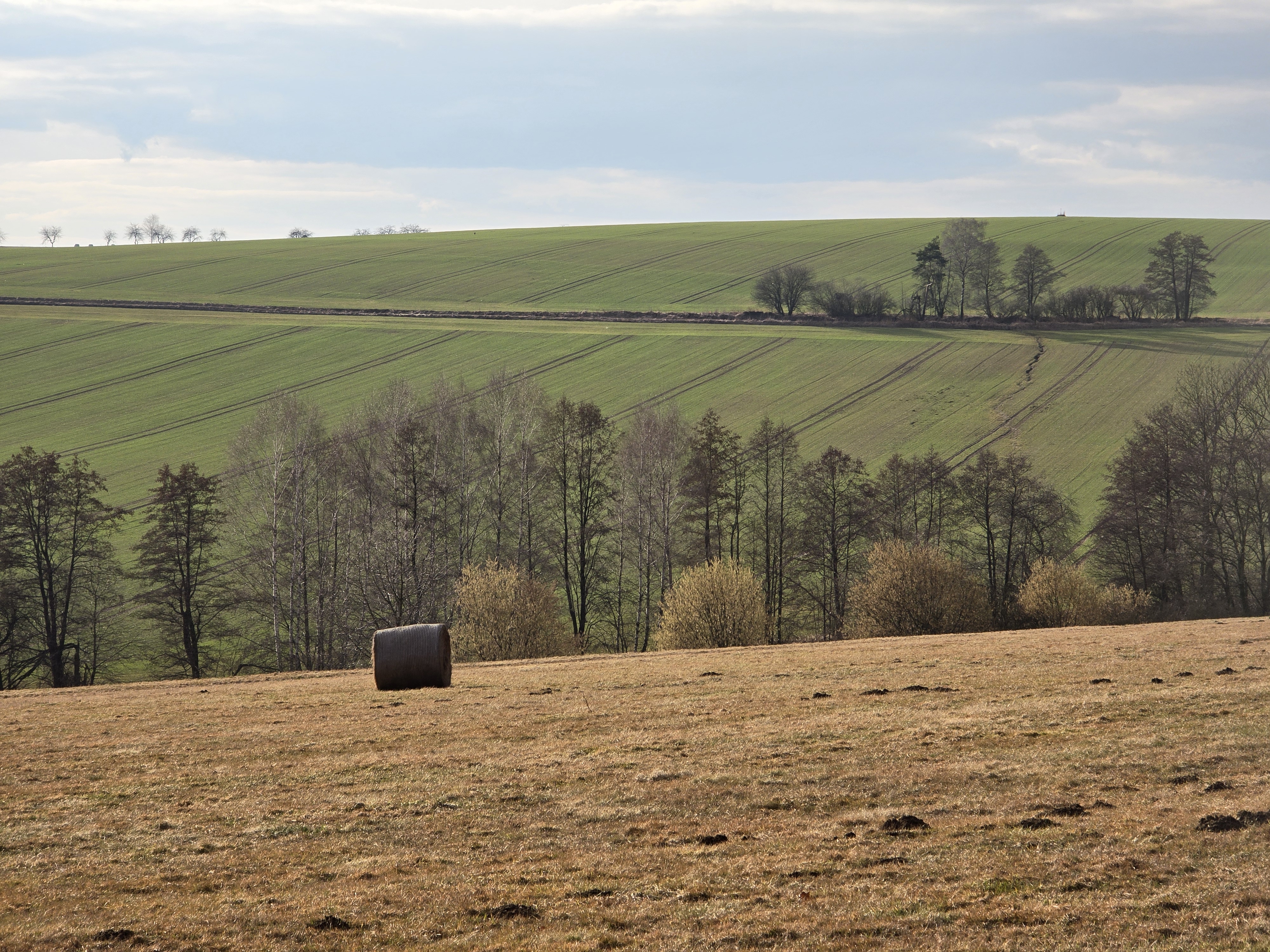rolling hills with hay bale