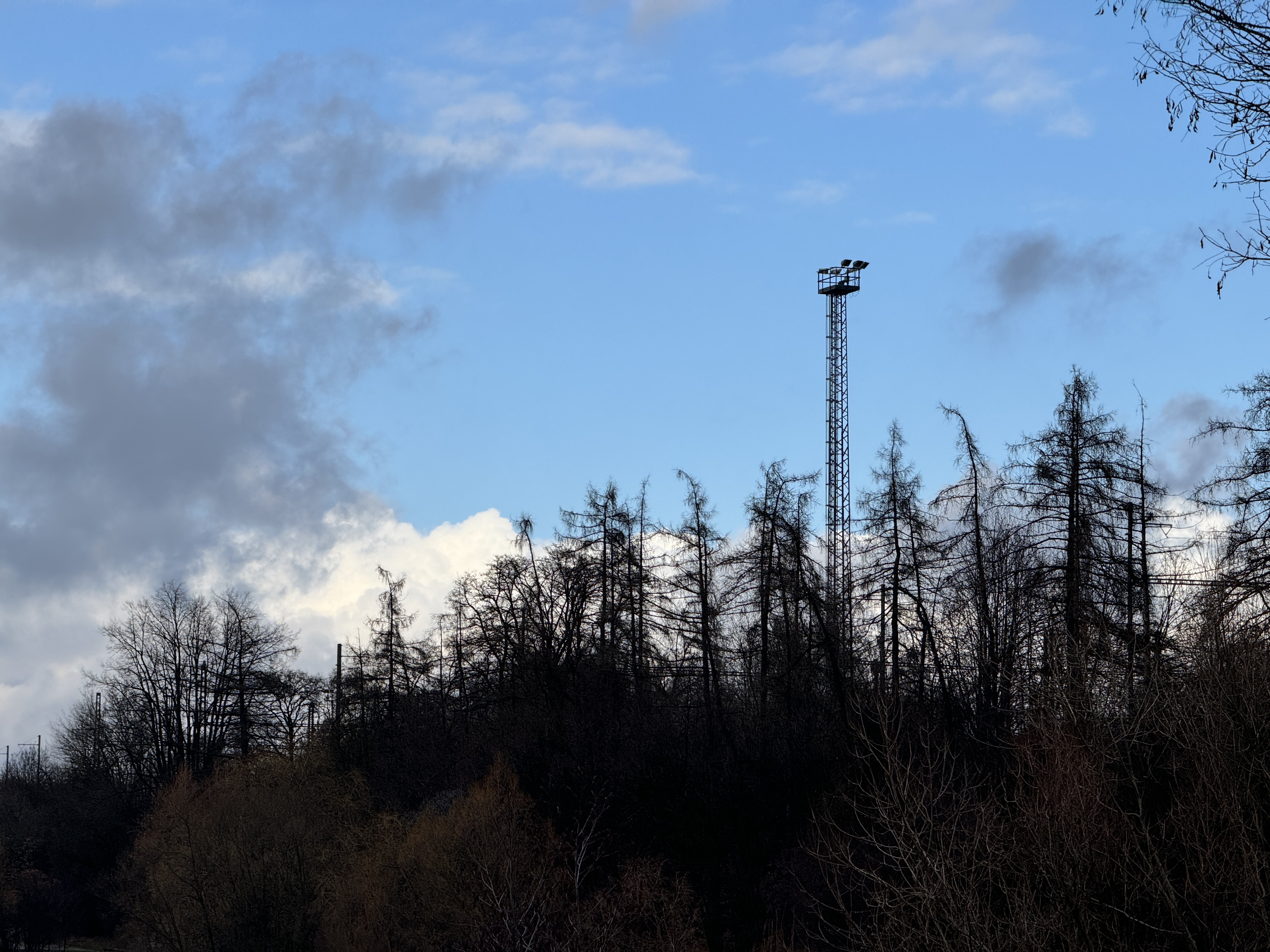 tall light tower in forest
