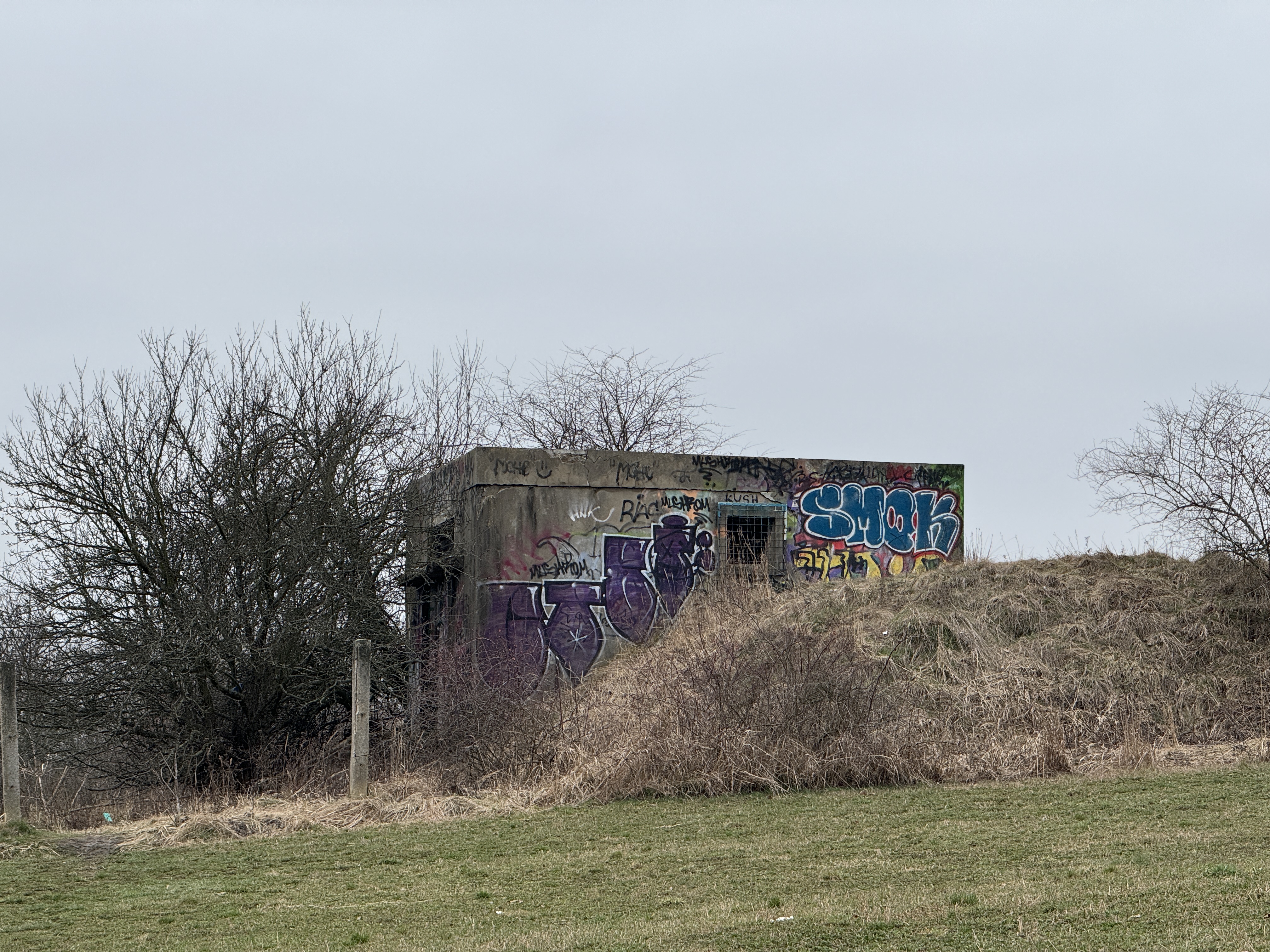 urban landscape view