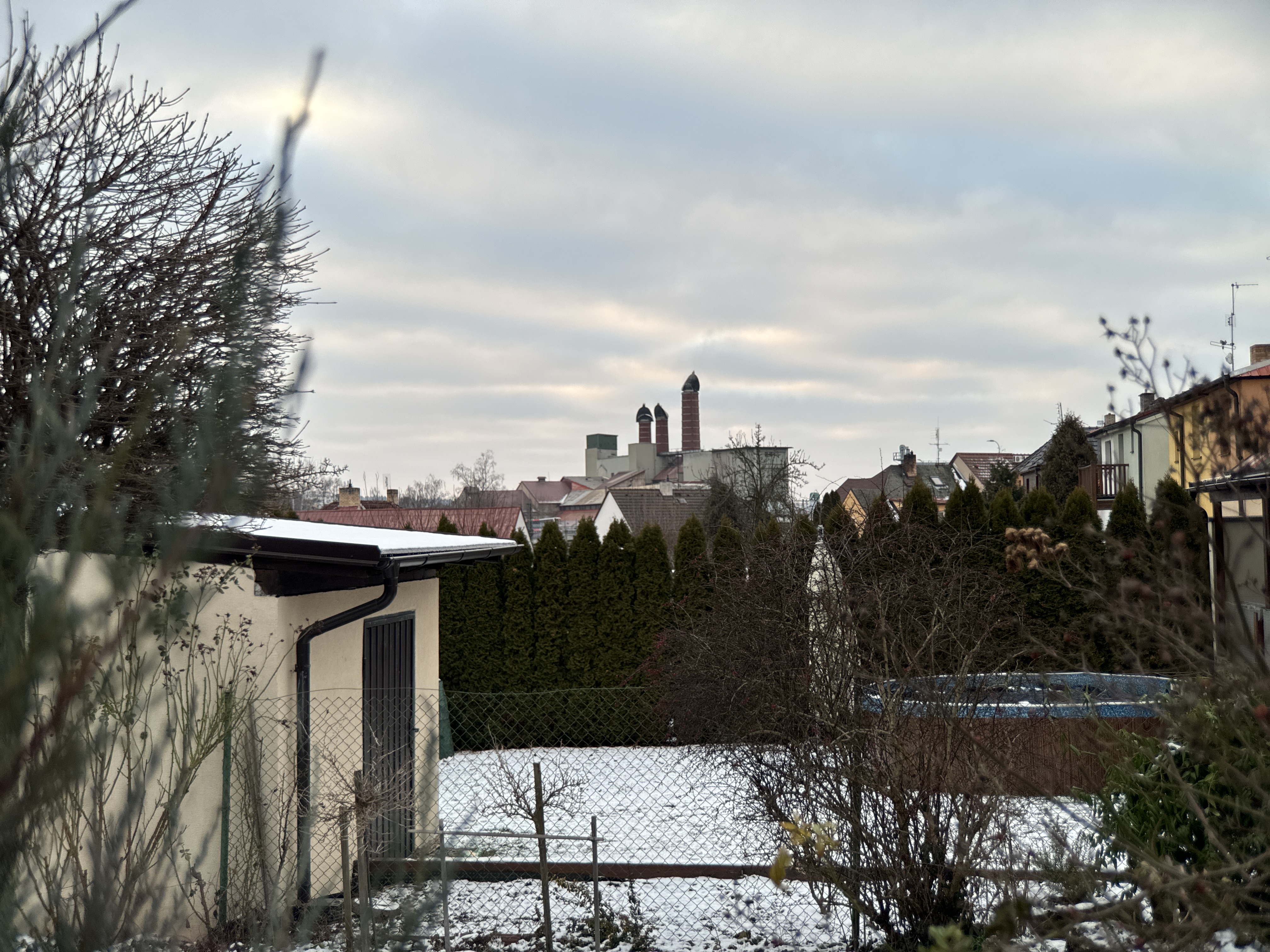 urban skyline snowy garden