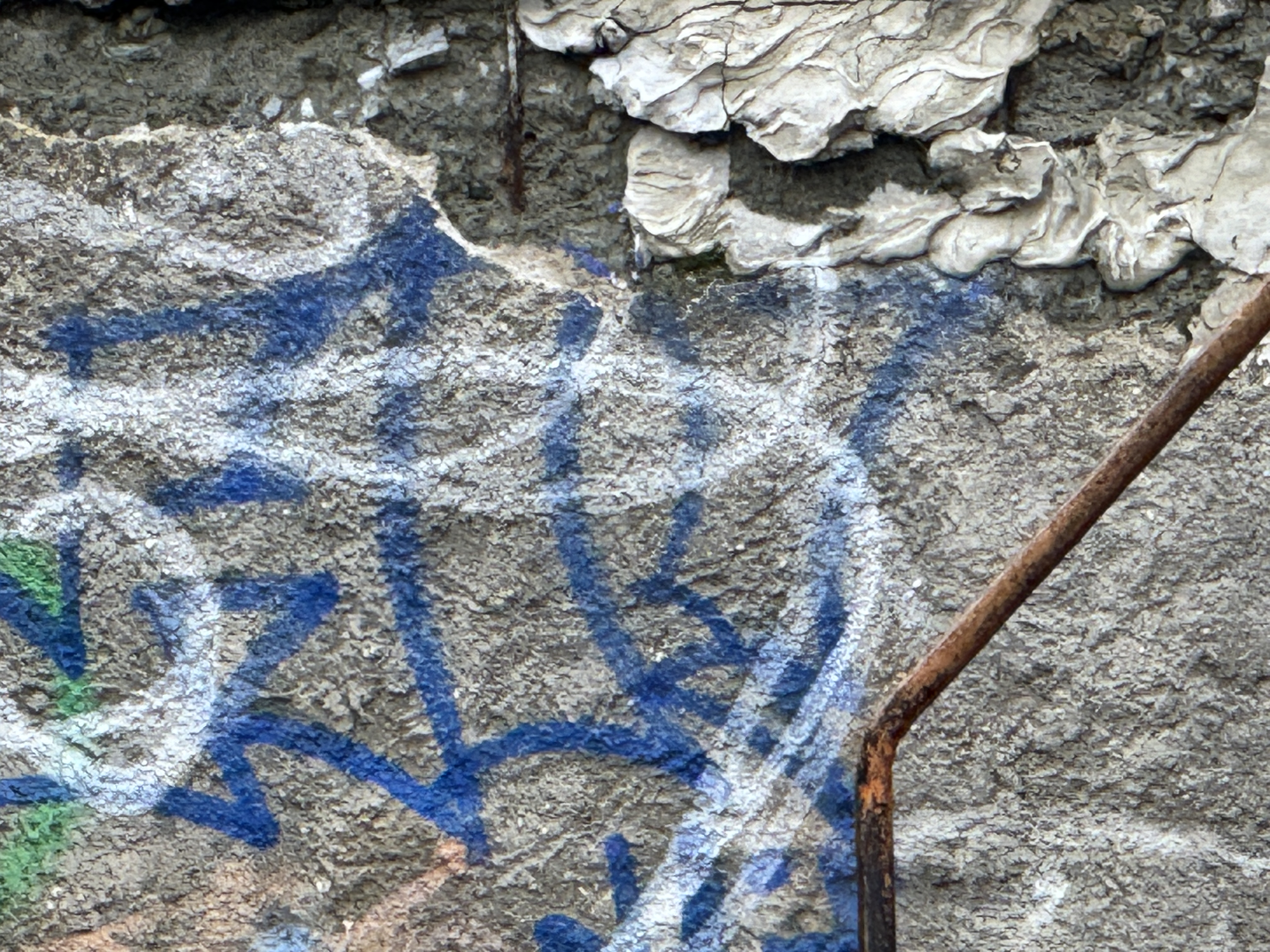 view of buildings through trees