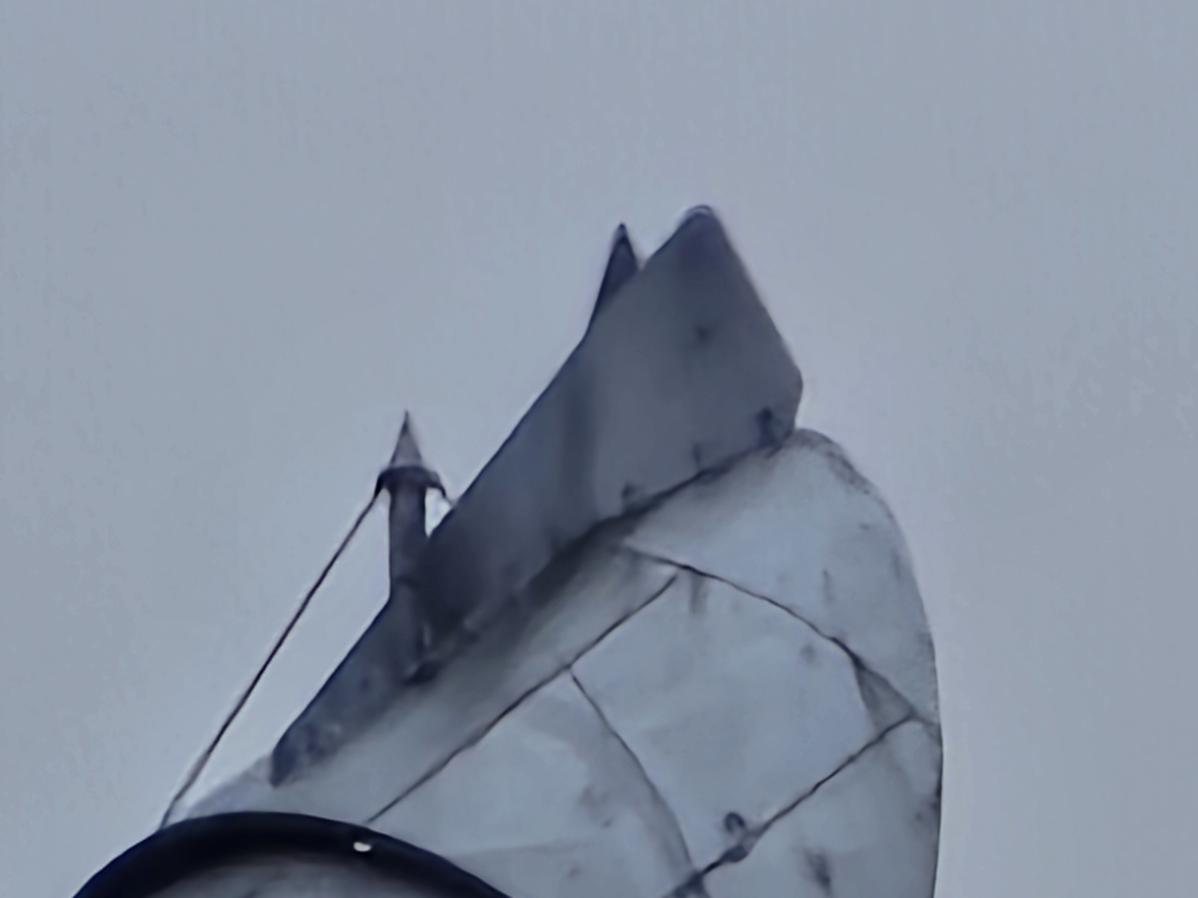 white flower with green leaves
