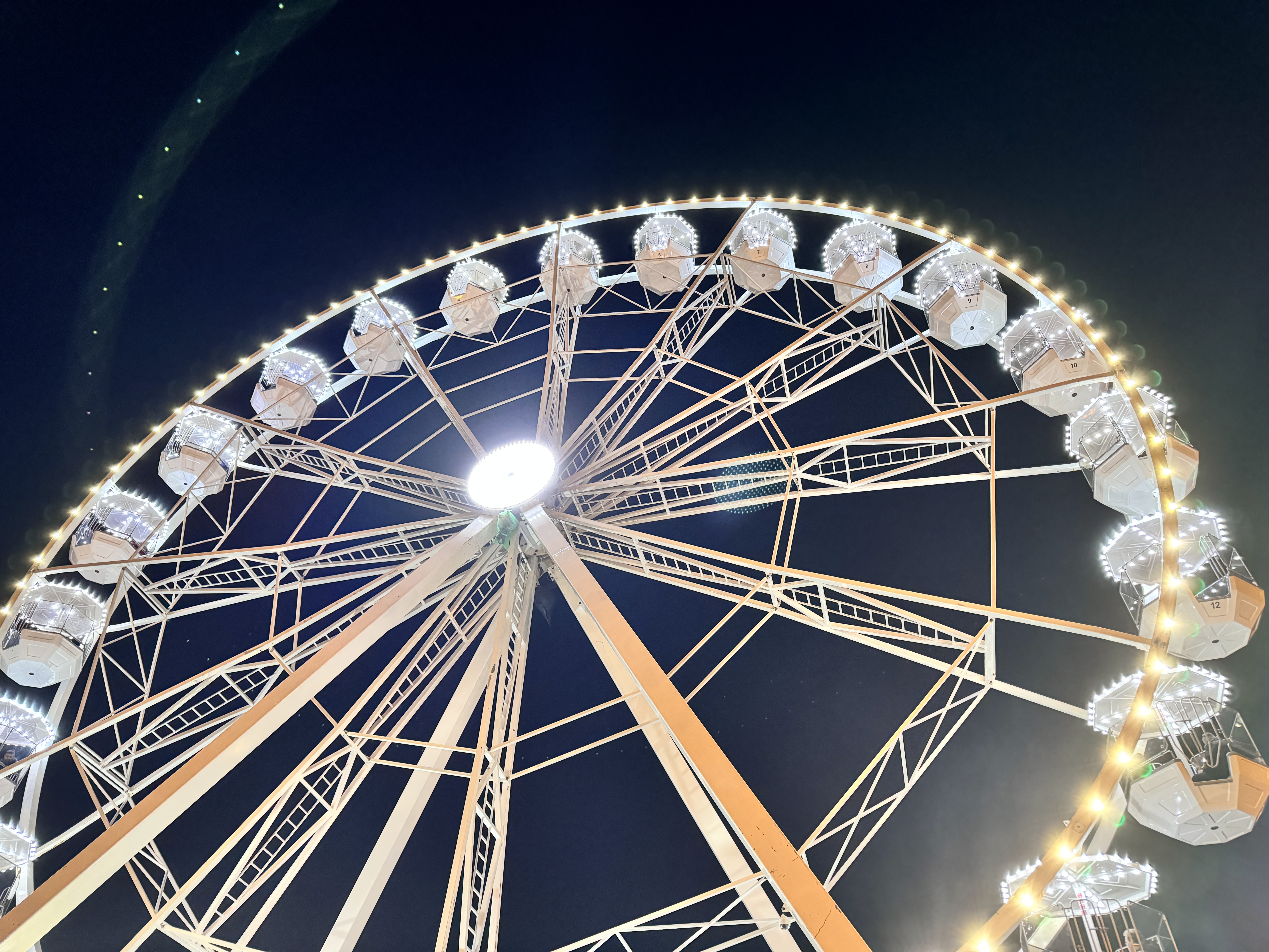 ferris wheel night view