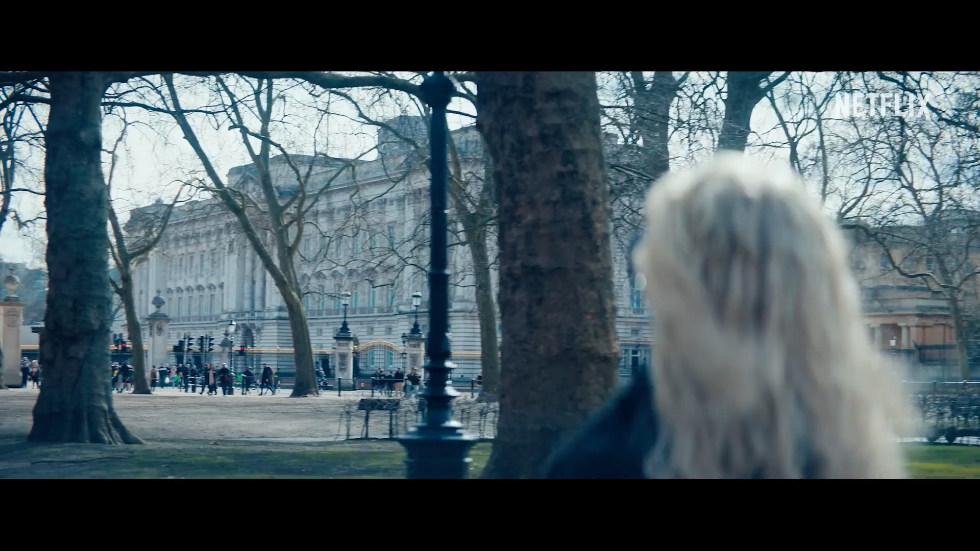 cityscape with trees