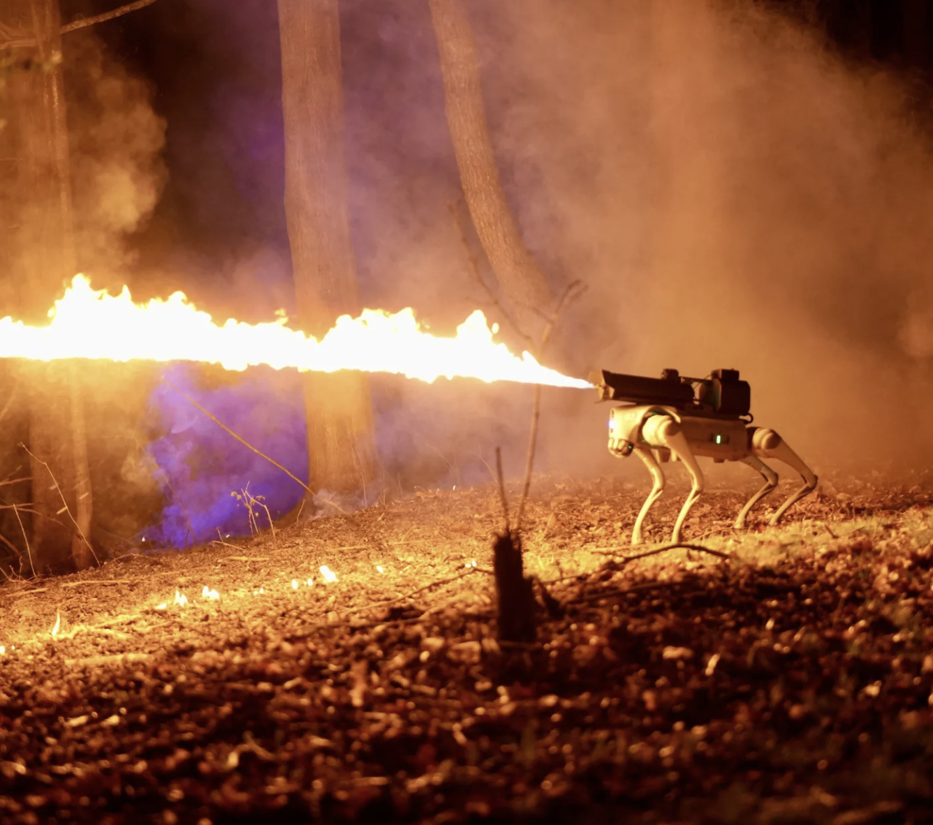 robot dog flamethrower night