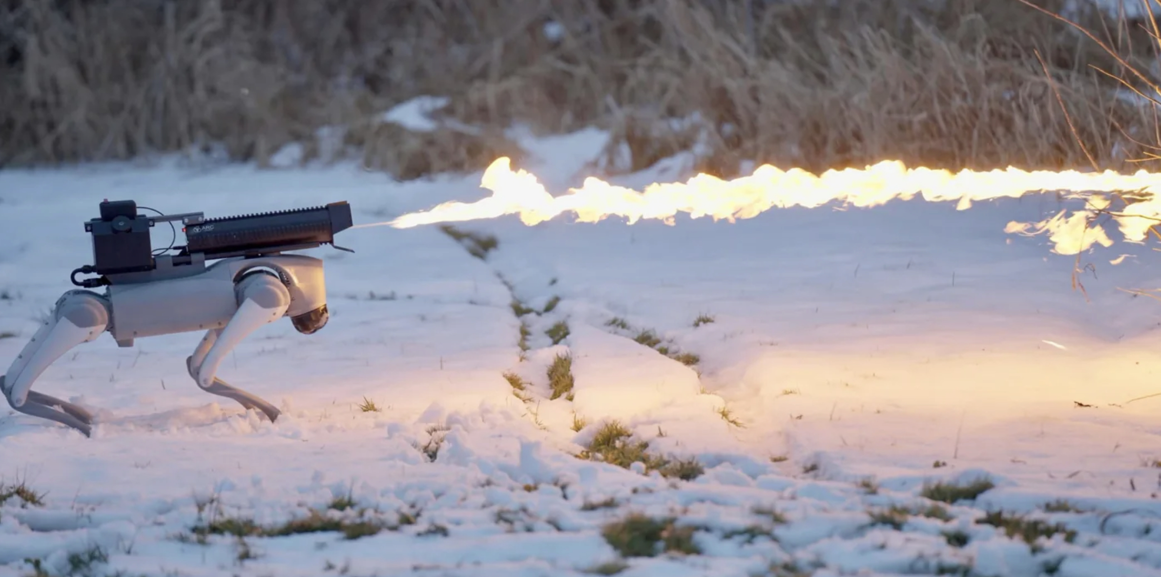 robot dog flamethrower snow