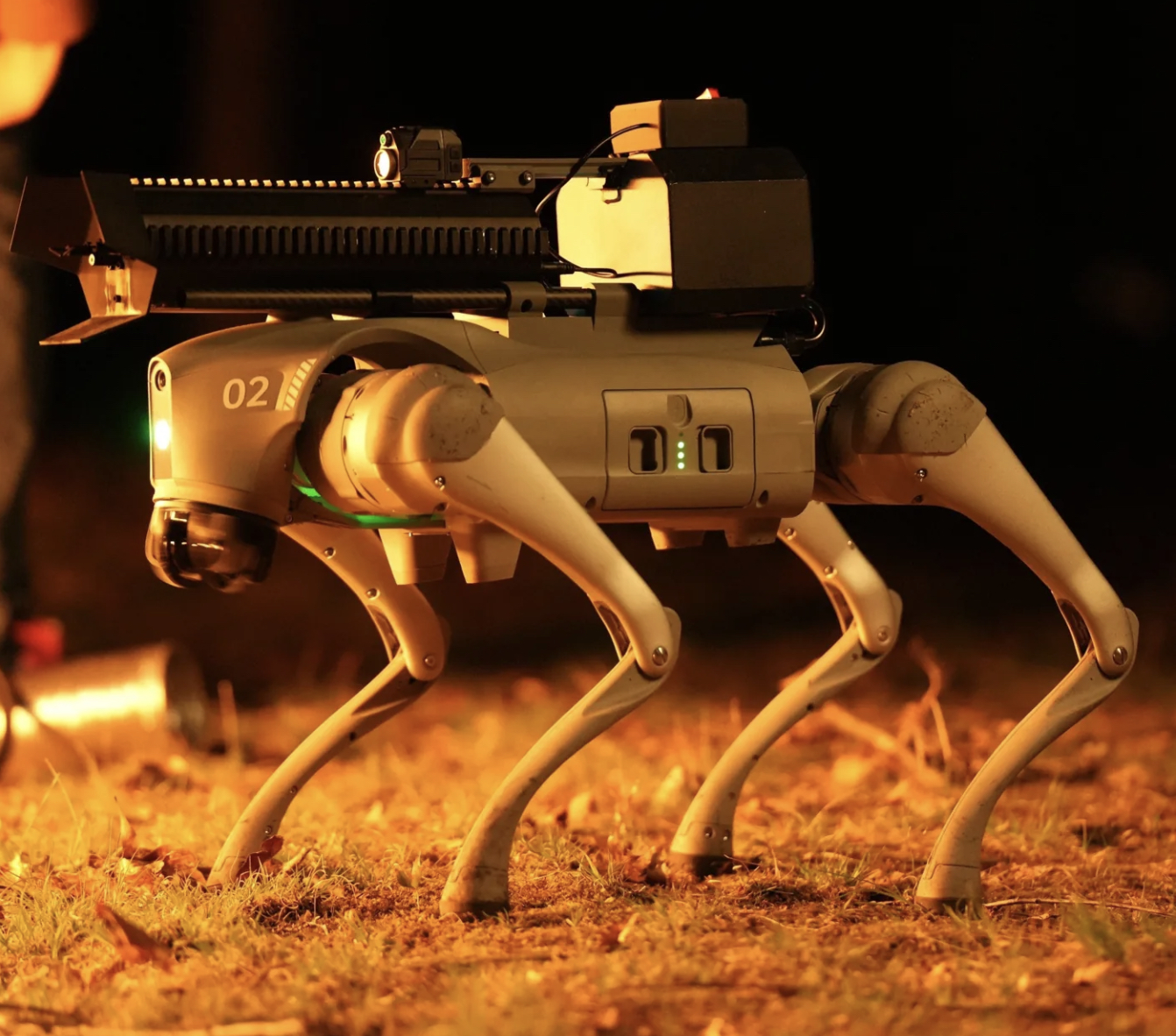 robotic dog night