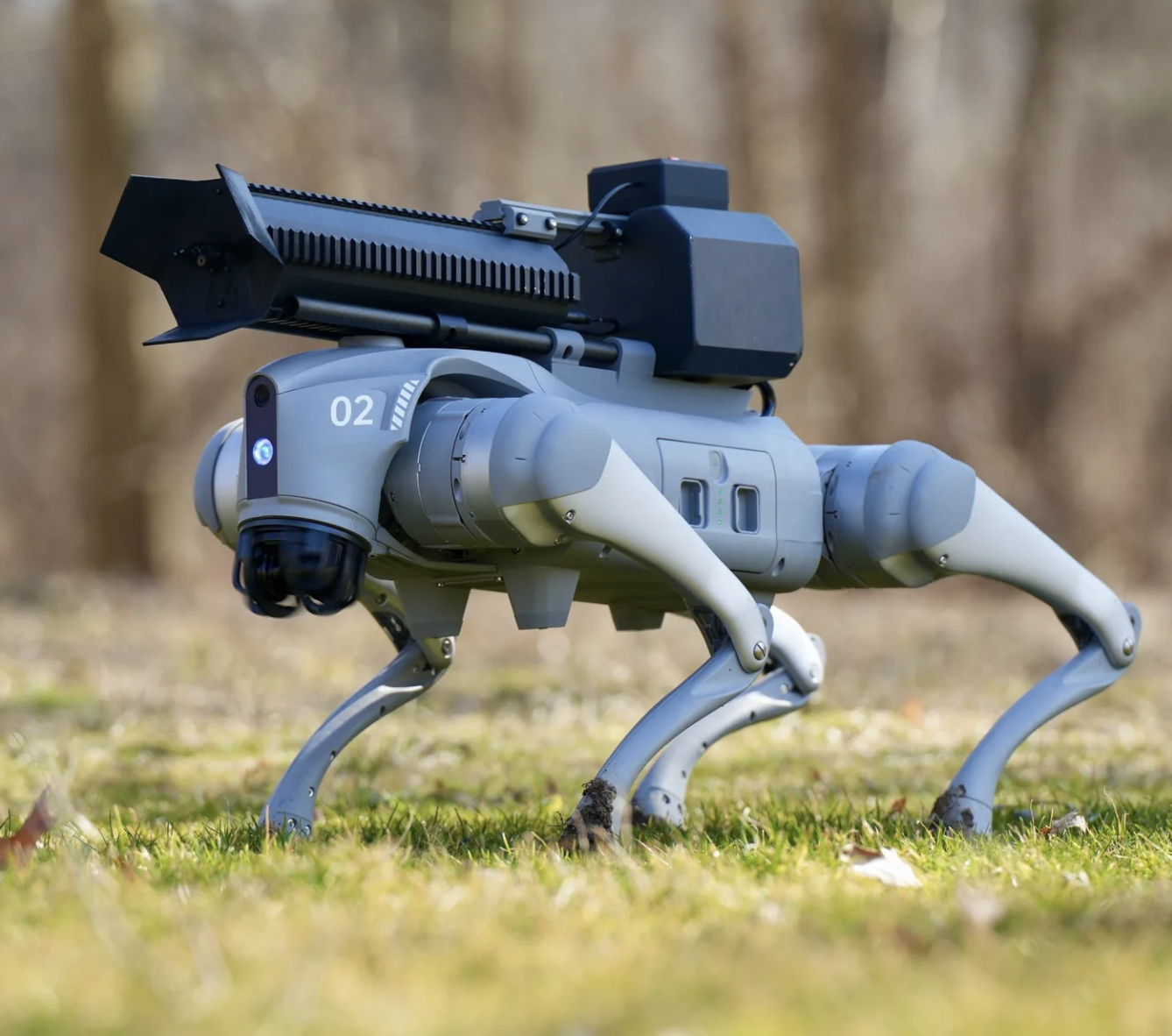 robotic dog on grass